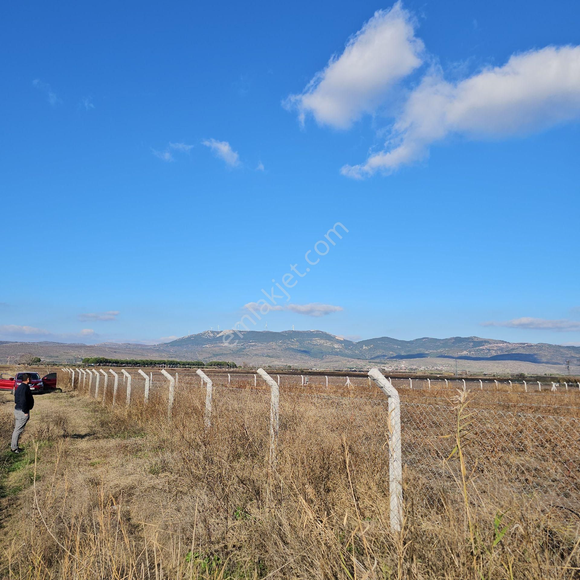 İzmir Bergama Satılık Tarla Bergama Göçbeyli,de Satılık Tek Tapu 5.000 M2