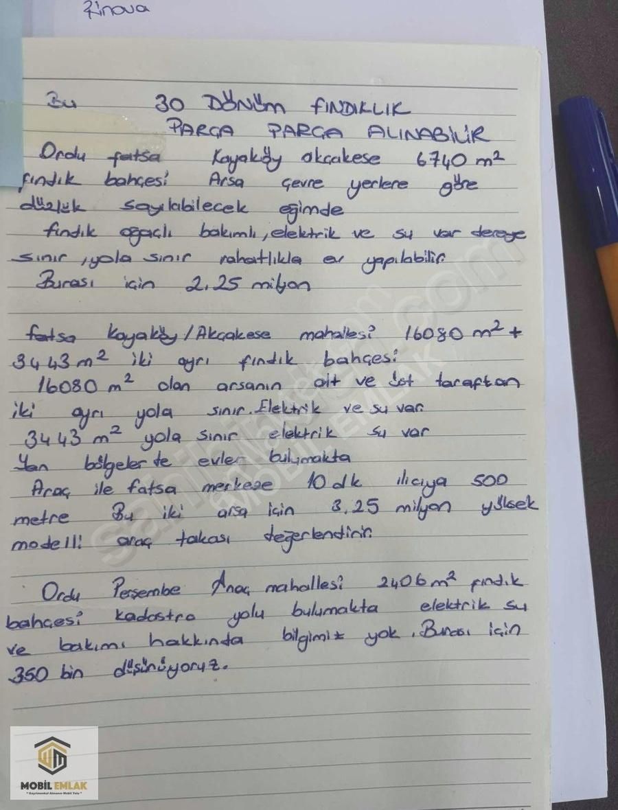 Satılık 30 Dönüm Fındık Bahçesi Ordu Perşembe - Görsel 2