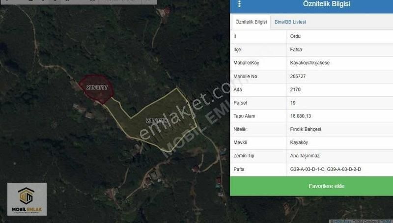 Satılık 30 Dönüm Fındık Bahçesi Ordu Perşembe - Görsel 22