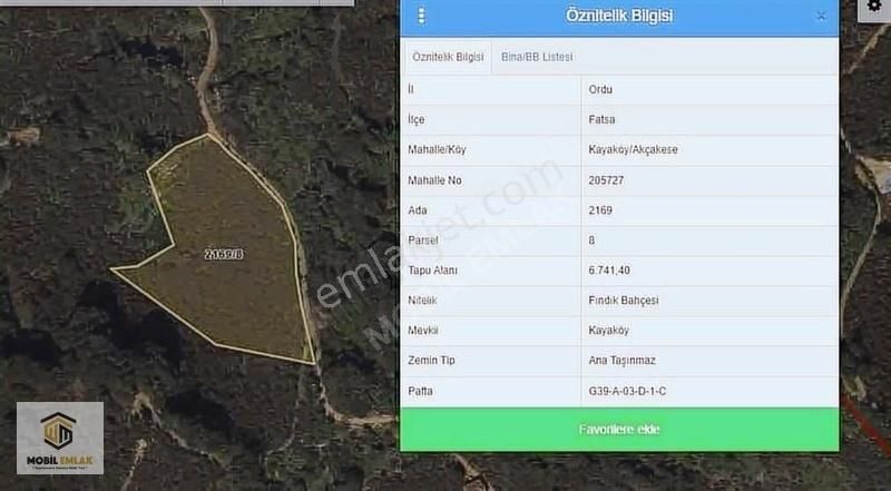 Satılık 30 Dönüm Fındık Bahçesi Ordu Perşembe - Görsel 18
