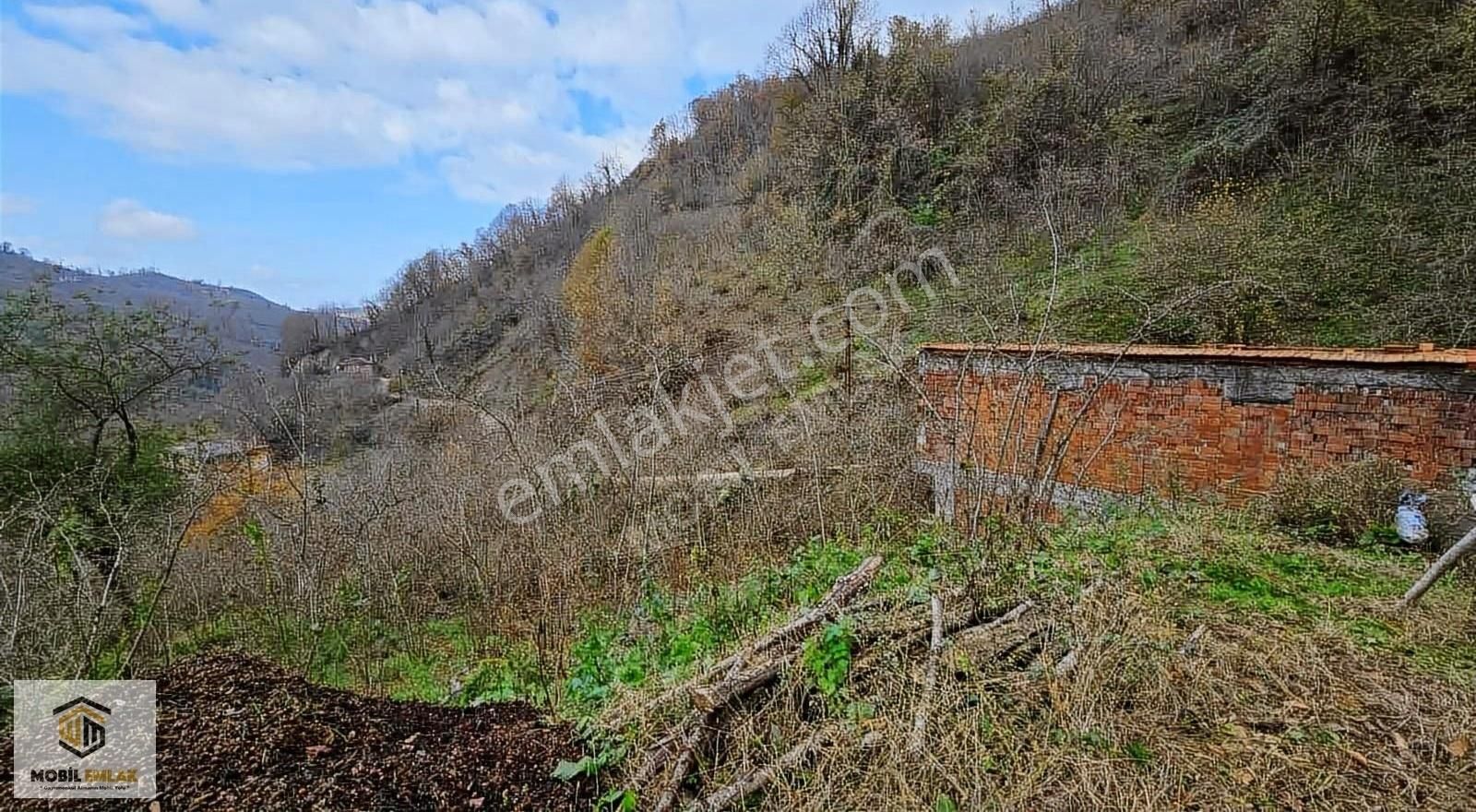 Satılık 30 Dönüm Fındık Bahçesi Ordu Perşembe - Görsel 3