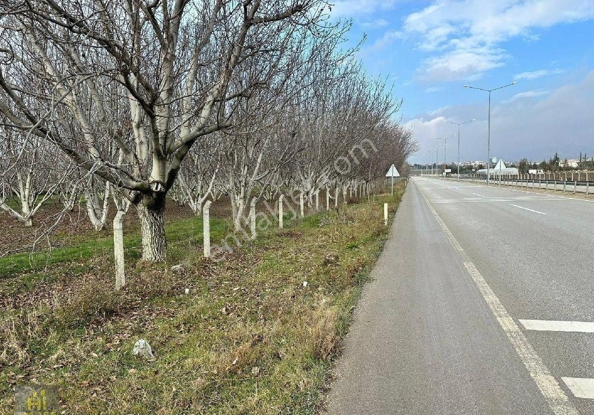 Merzifon Kümbethatun OSB Satılık Ticari İmarlı Hedef Emlak Tan Satılık