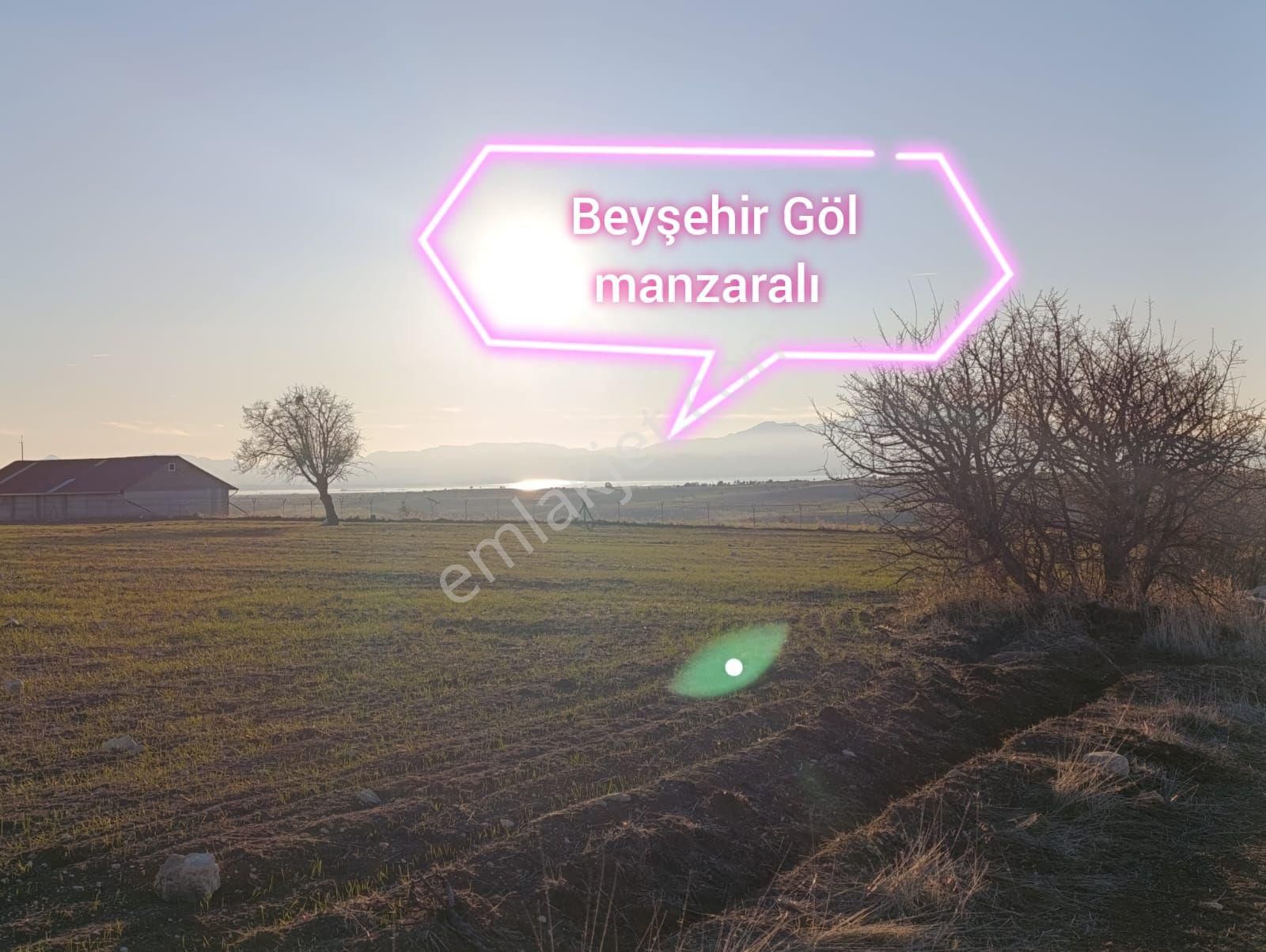 Beyşehir Sarıköy Satılık Tarla Beyşehir Büyük Arazi