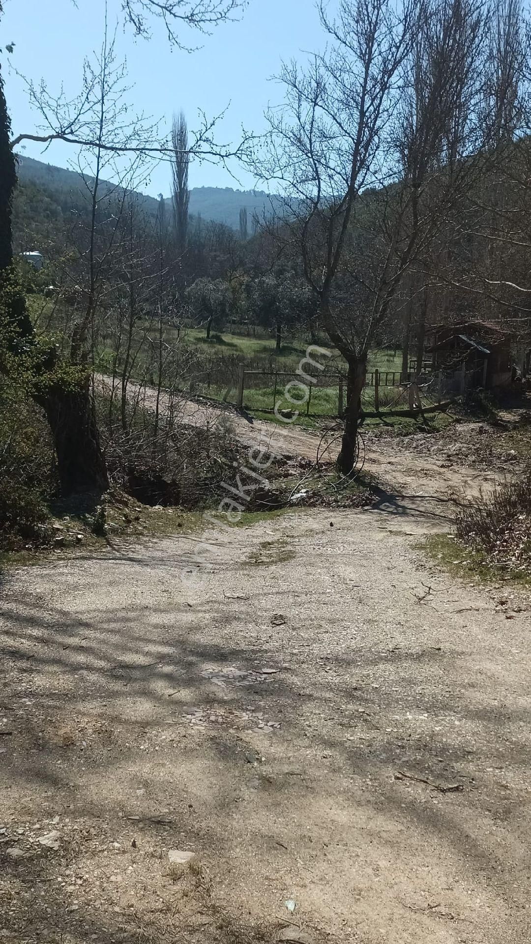 Bayındır Sarıyurt Mahallesinde 886 M² Bahçe Satılıktır - Görsel 8