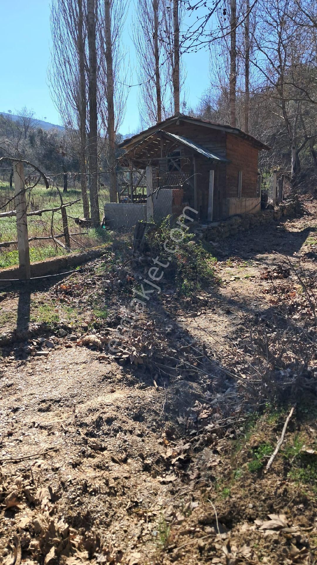 Bayındır Sarıyurt Mahallesinde 886 M² Bahçe Satılıktır - Görsel 2