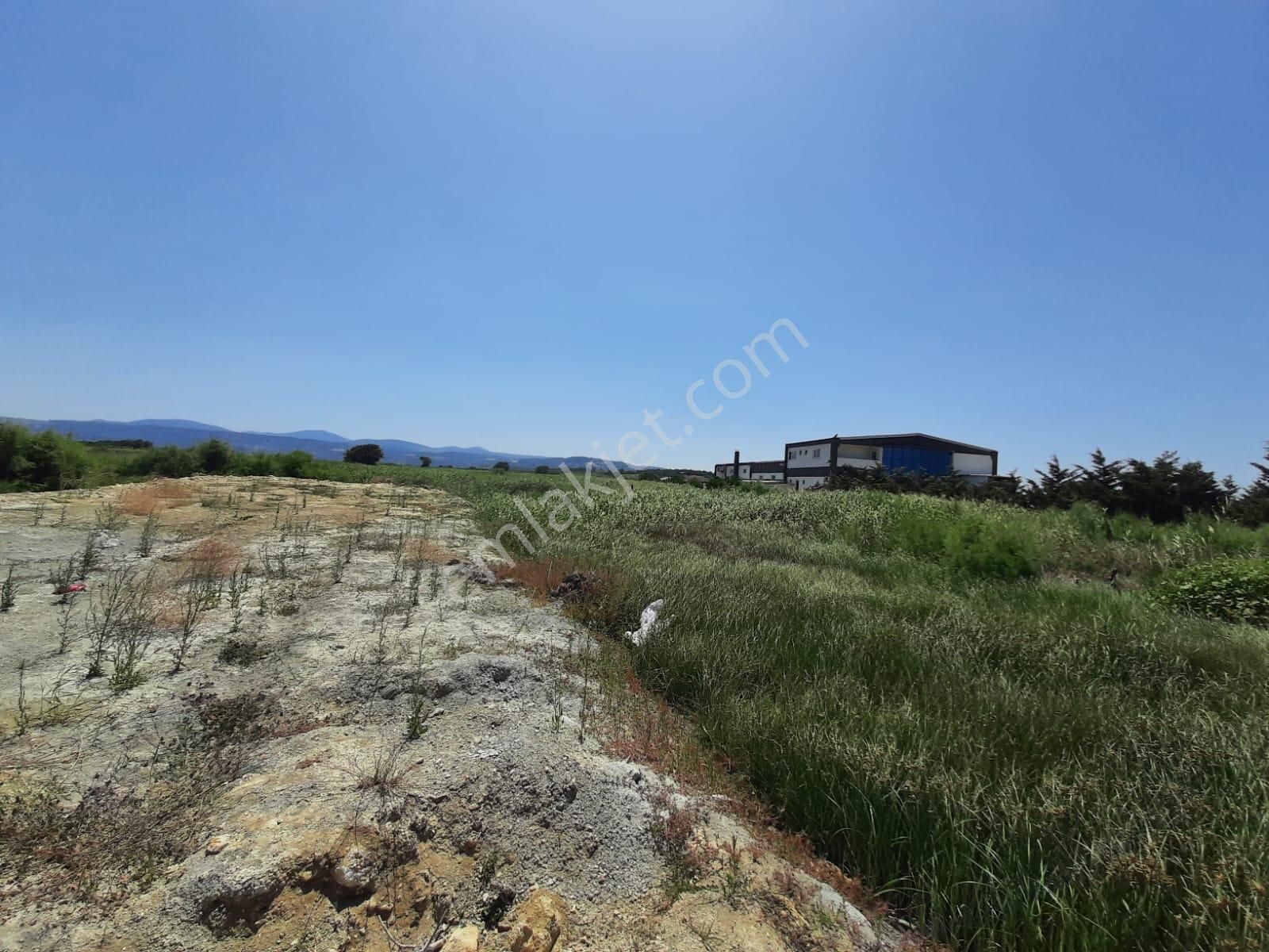 Çanakkale Lapseki Umurbey De Denize 600 Metre Mesafede Satılık Arsa - Görsel 2