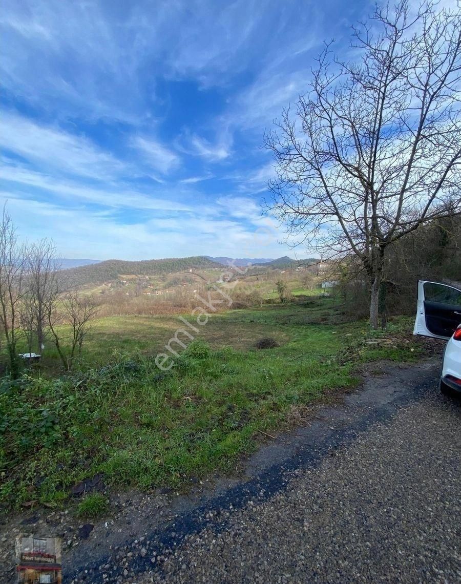 Bartın Merkez Akağaç Köyü (Yukarı) Satılık Tarla Akağaç Köyünde Köy İçi İmarlı 3731m2 Tarla