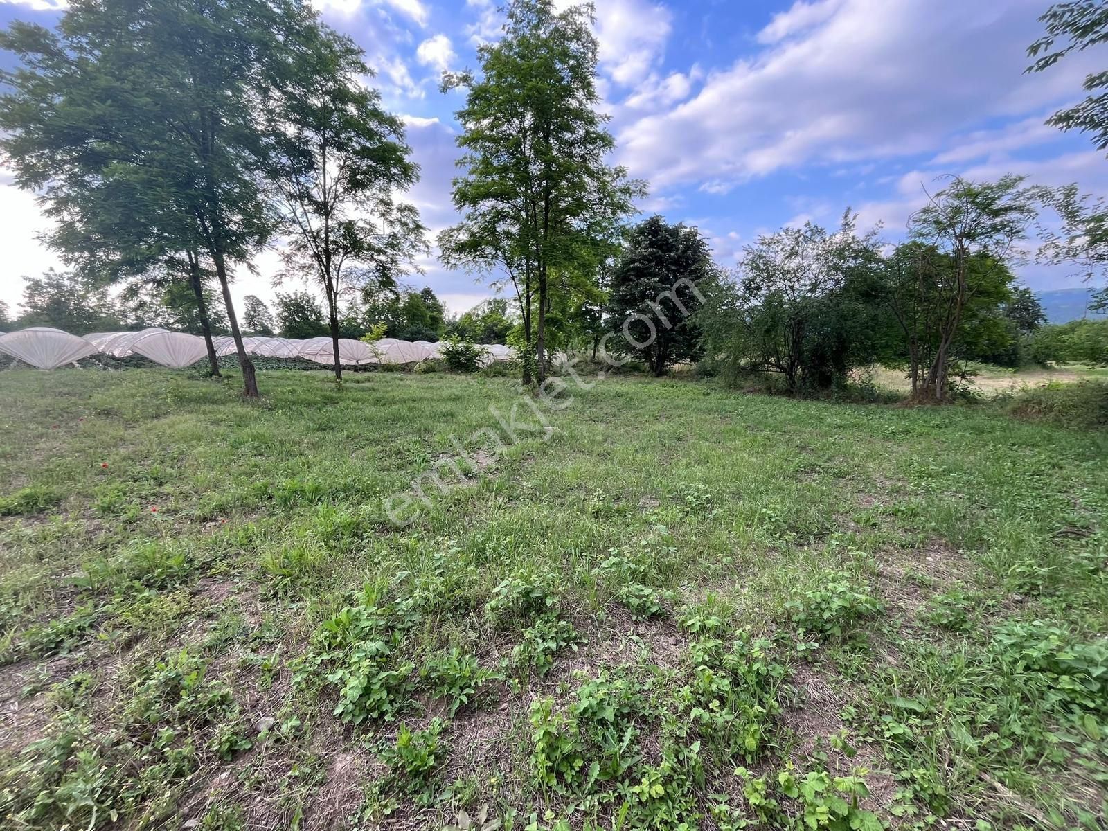 İnegölkurşunlu 688m2 Satılık Hobi Bahçesi (120/256)-kod No: Ht - Görsel 7