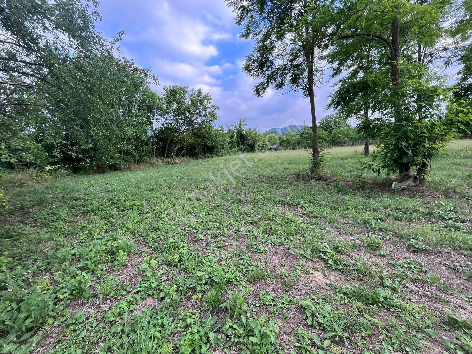 İnegölkurşunlu 688m2 Satılık Hobi Bahçesi (120/256)-kod No: Ht - Görsel 9