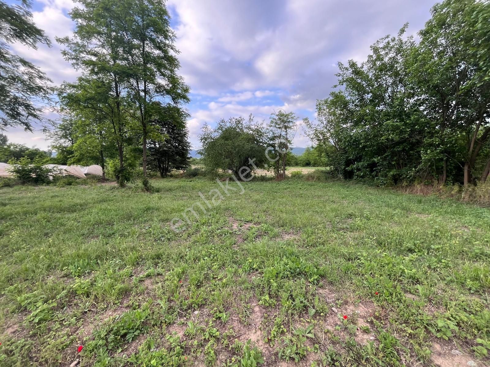 İnegölkurşunlu 688m2 Satılık Hobi Bahçesi (120/256)-kod No: Ht - Görsel 3