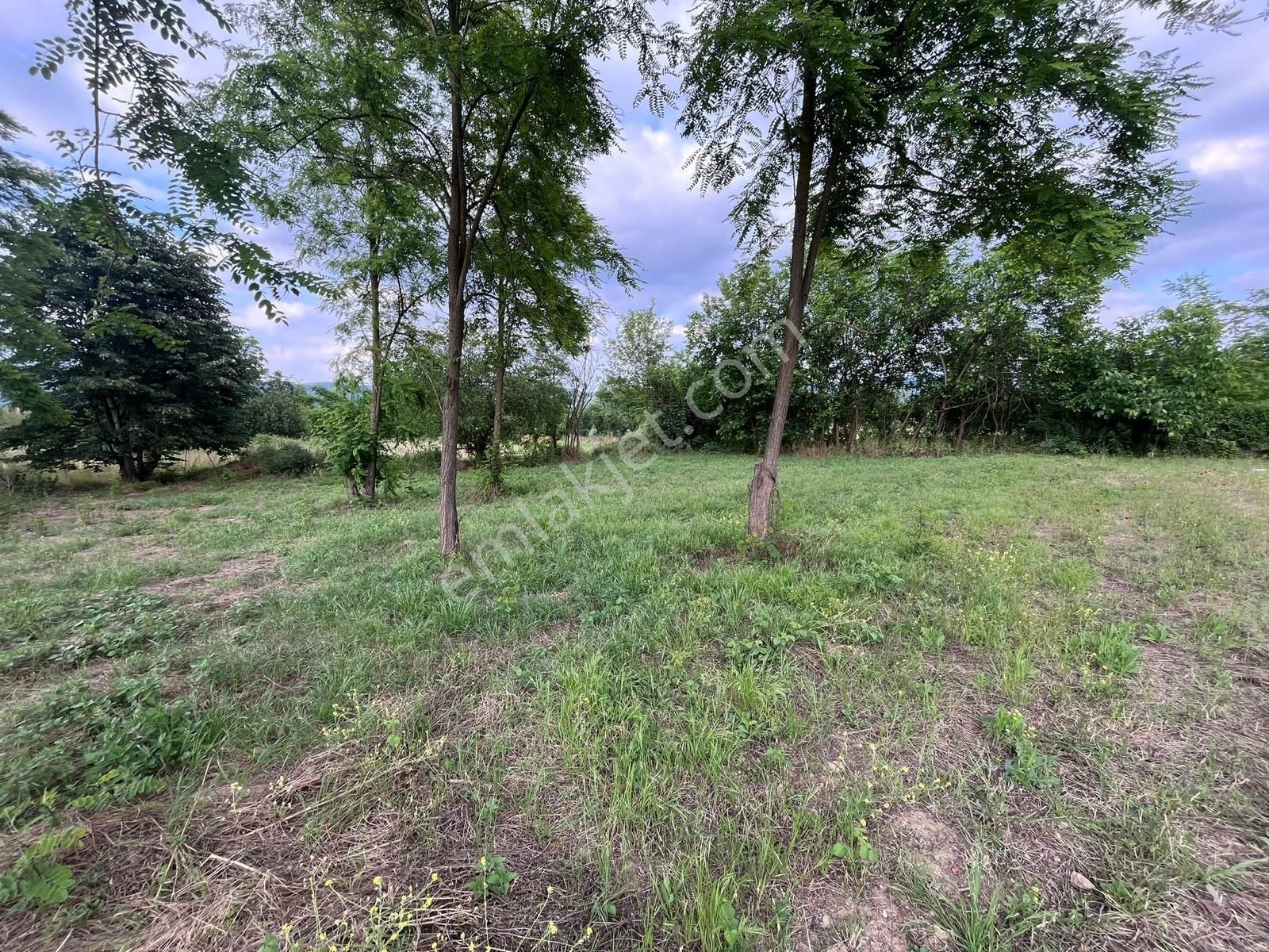 İnegölkurşunlu 688m2 Satılık Hobi Bahçesi (120/256)-kod No: Ht - Görsel 4