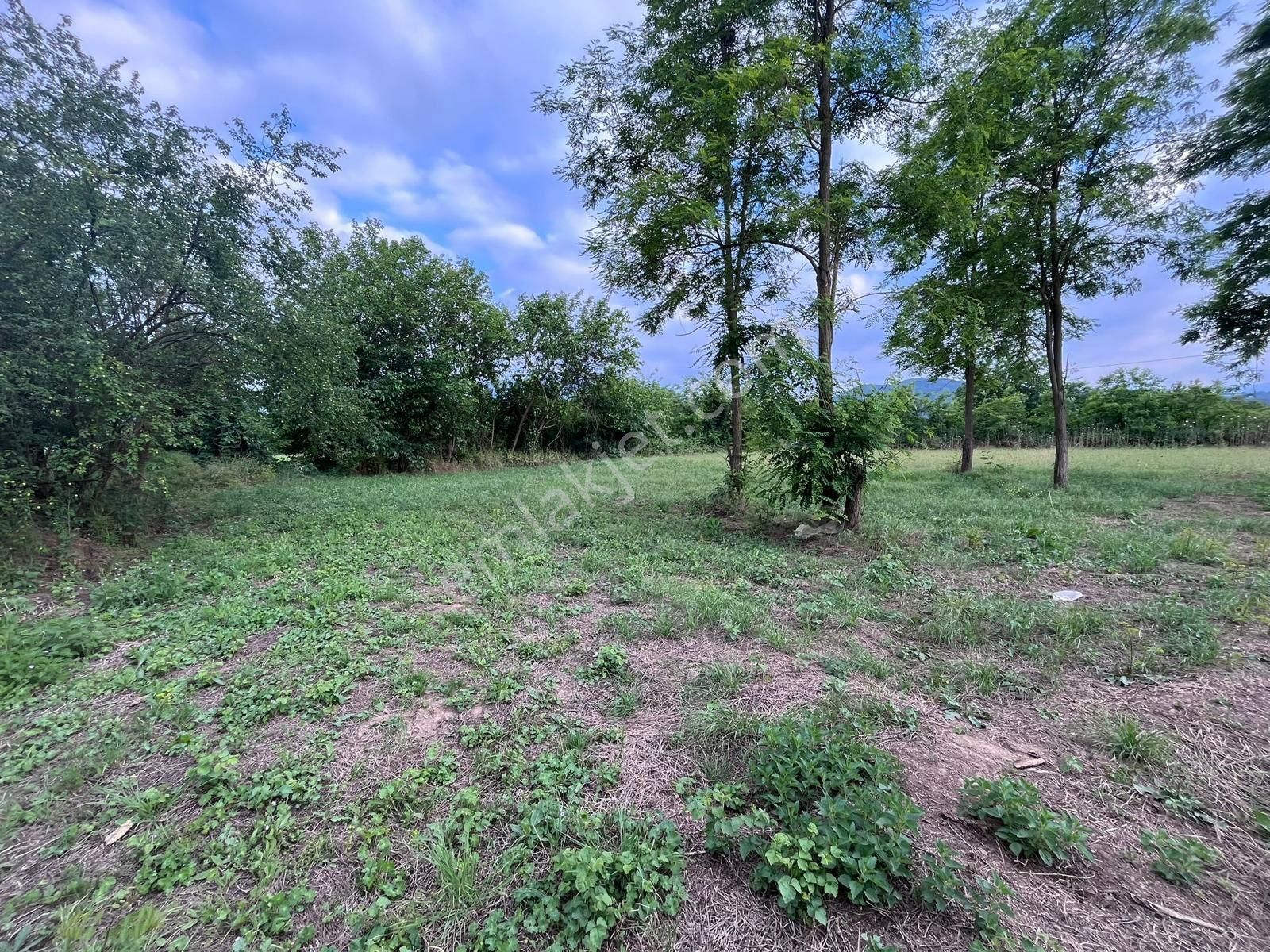 İnegölkurşunlu 688m2 Satılık Hobi Bahçesi (120/256)-kod No: Ht - Görsel 8