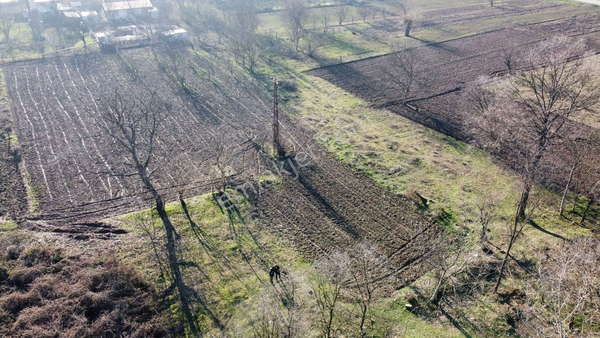 Küçük Yenice Köy Dibi Su Elektrik Yol Sorunu Yok (127/30) Kod: Tt - Görsel 5
