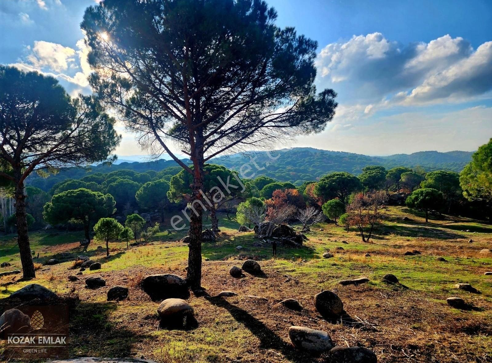 Ayvalık Bağyüzü Satılık Tarla Ayvalık Bağyüzü Tarım Arazisi İmarlı Satılık