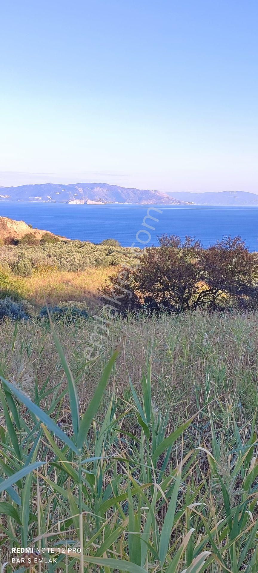 Şarköy Kirazlı Satılık Tarla Tekirdağ Şarköy Kirazli Ful Deniz Manzaralı Arazi