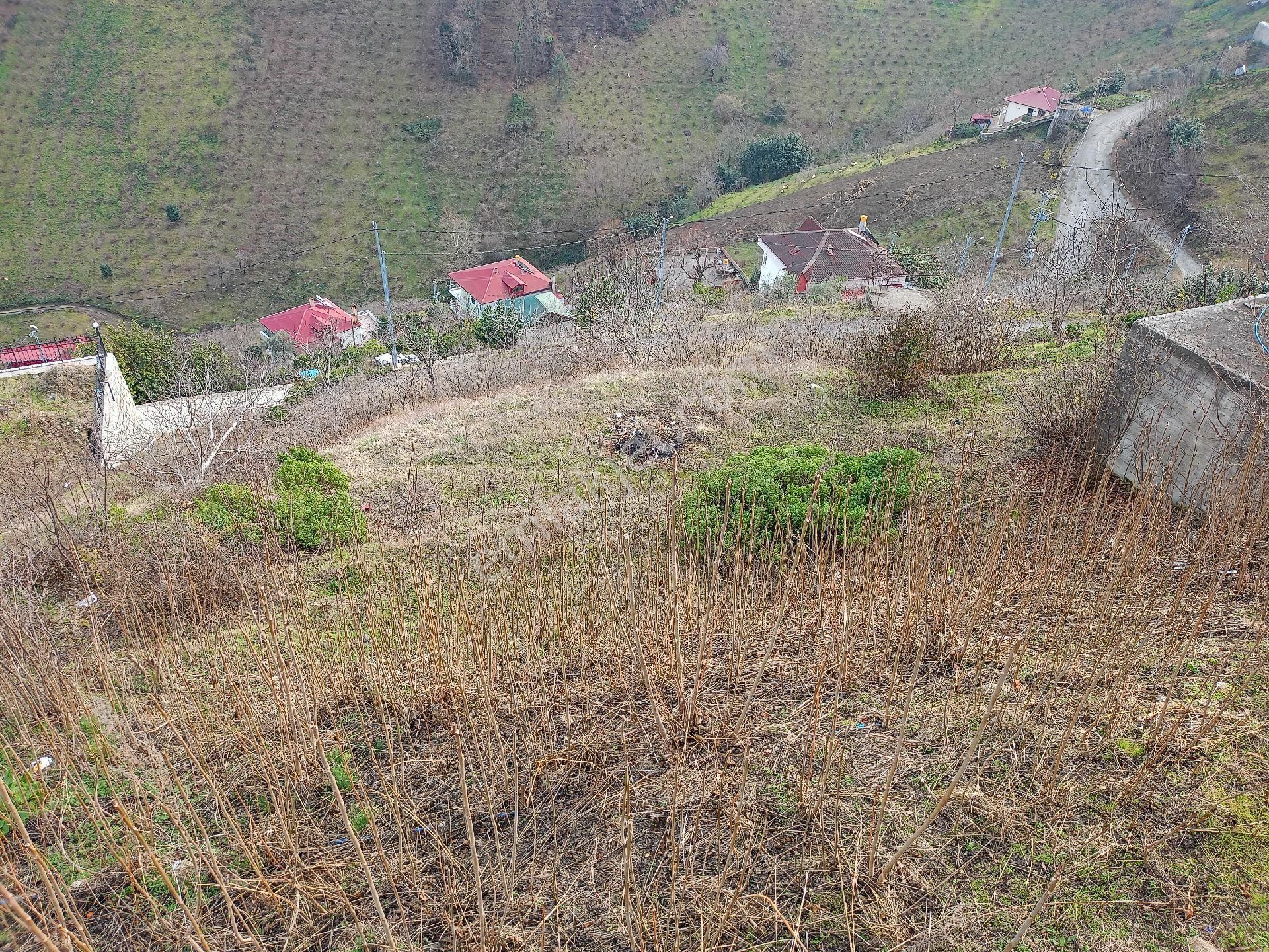 Akçaabat Darıca' Da Full Deniz Ve Trabzon Manzaralı Satılık 1044 M2 Villalık Arazi - Görsel 8