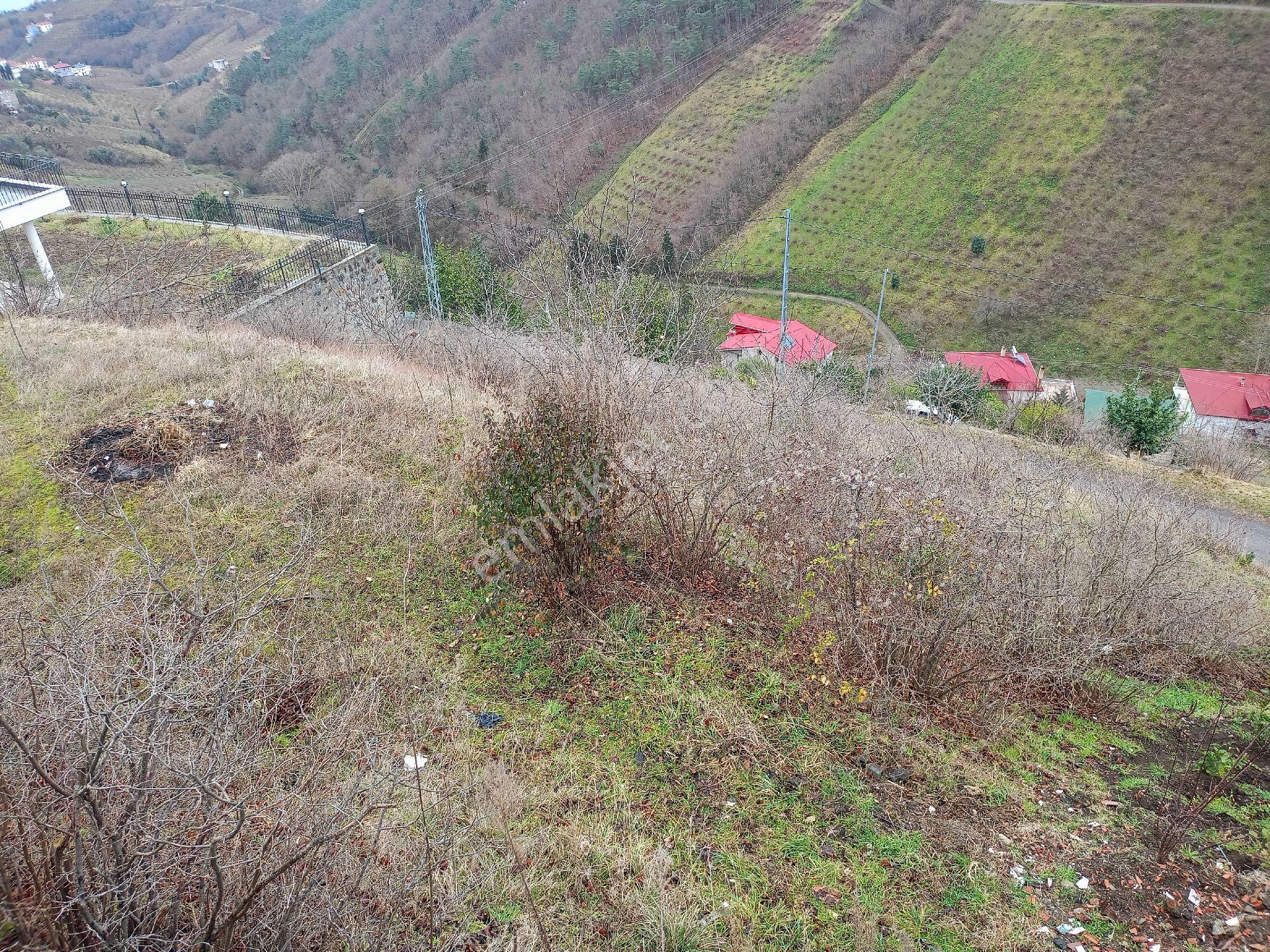 Akçaabat Darıca' Da Full Deniz Ve Trabzon Manzaralı Satılık 1044 M2 Villalık Arazi - Görsel 11