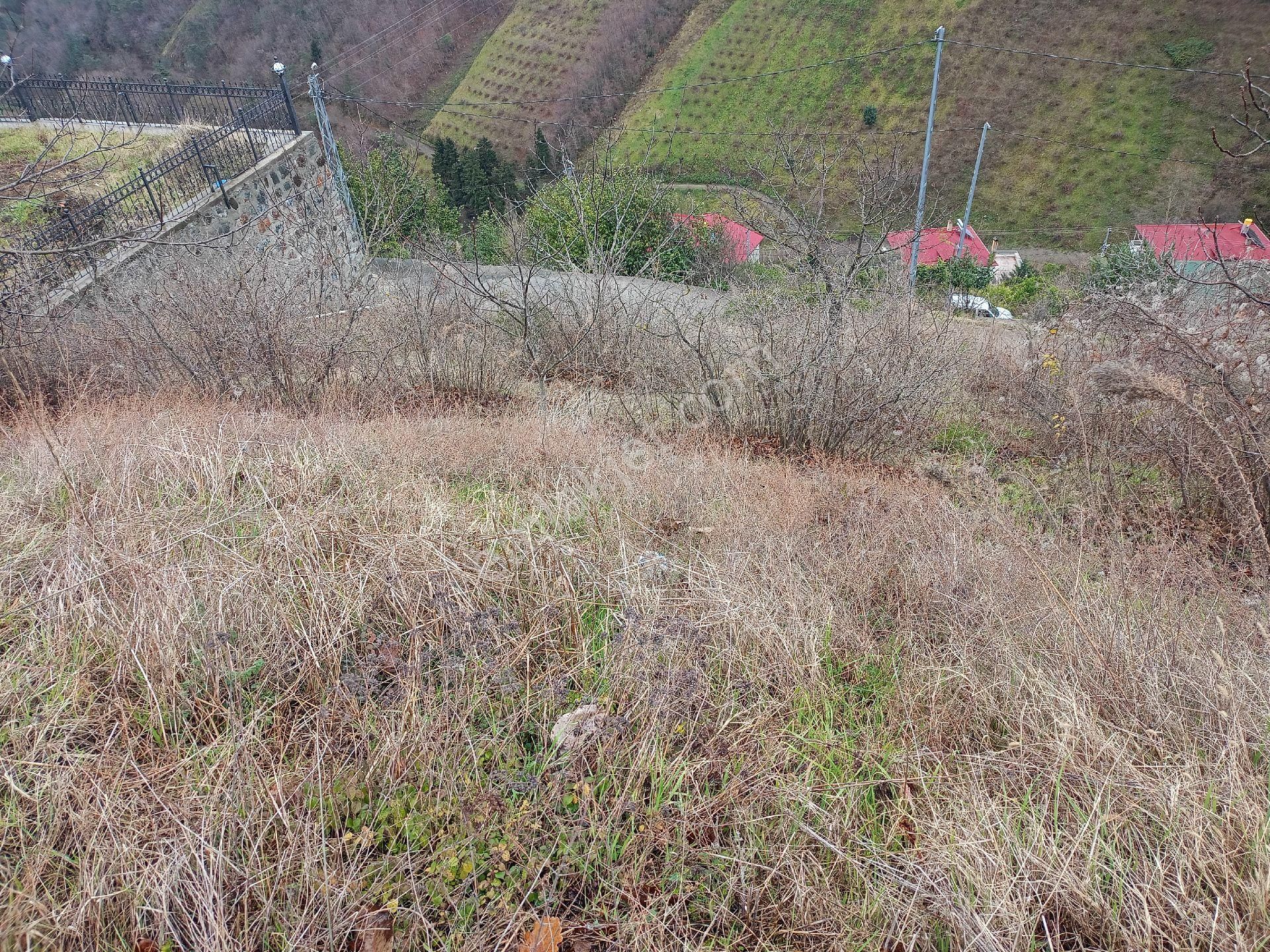 Akçaabat Darıca' Da Full Deniz Ve Trabzon Manzaralı Satılık 1044 M2 Villalık Arazi - Görsel 18