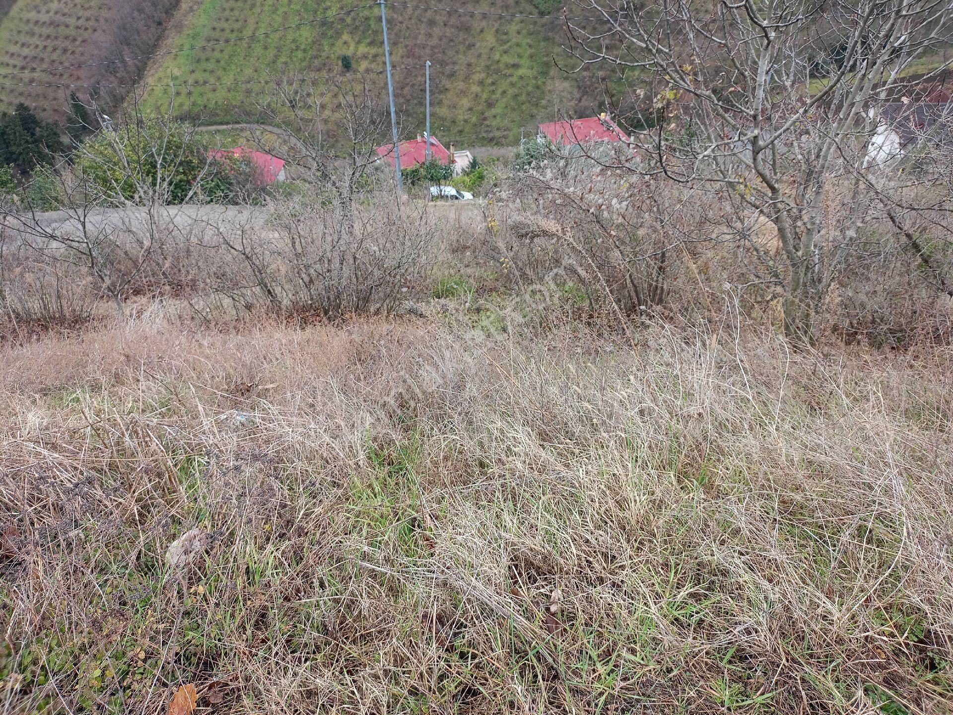 Akçaabat Darıca' Da Full Deniz Ve Trabzon Manzaralı Satılık 1044 M2 Villalık Arazi - Görsel 13