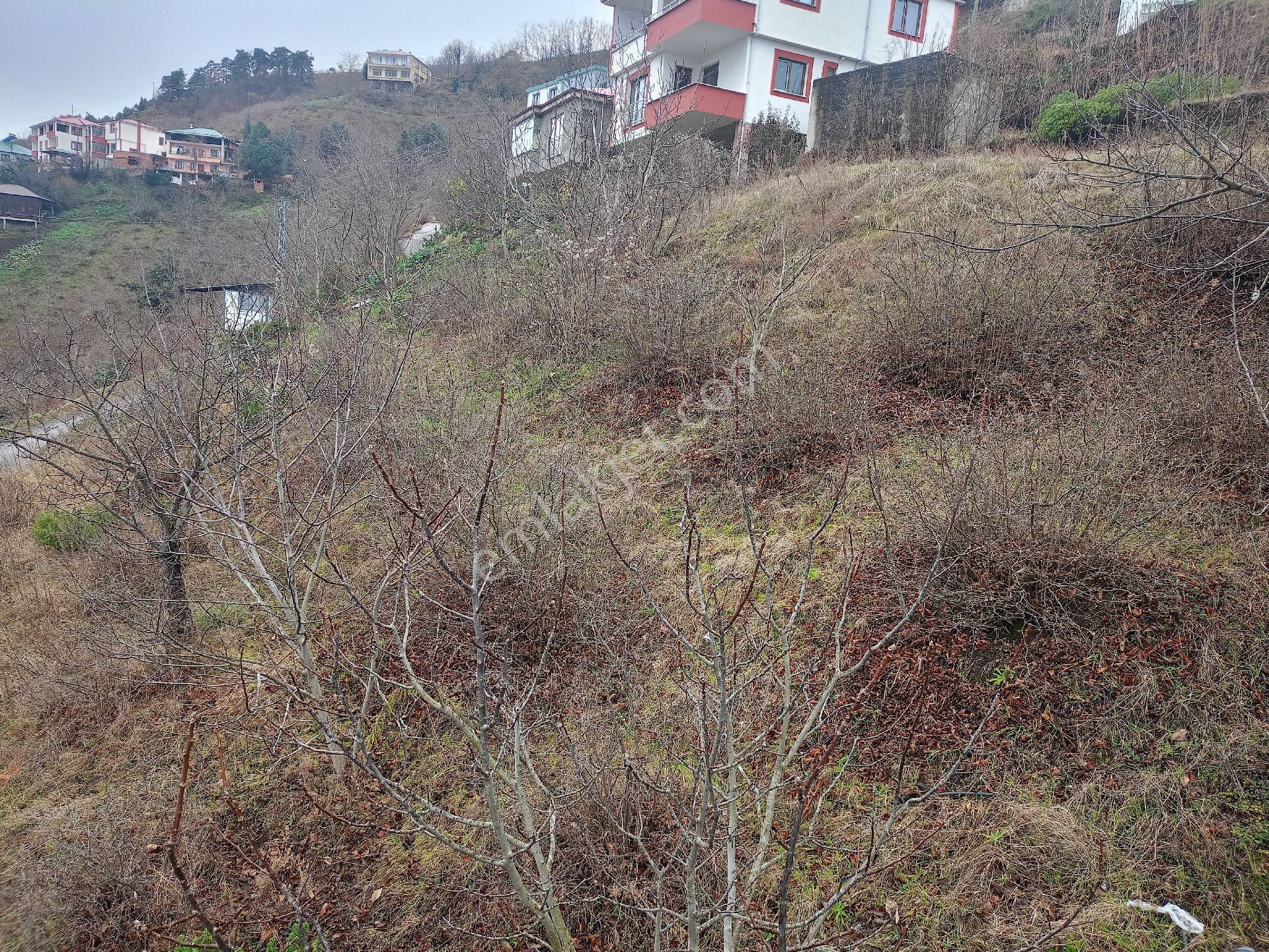 Akçaabat Darıca' Da Full Deniz Ve Trabzon Manzaralı Satılık 1044 M2 Villalık Arazi - Görsel 14