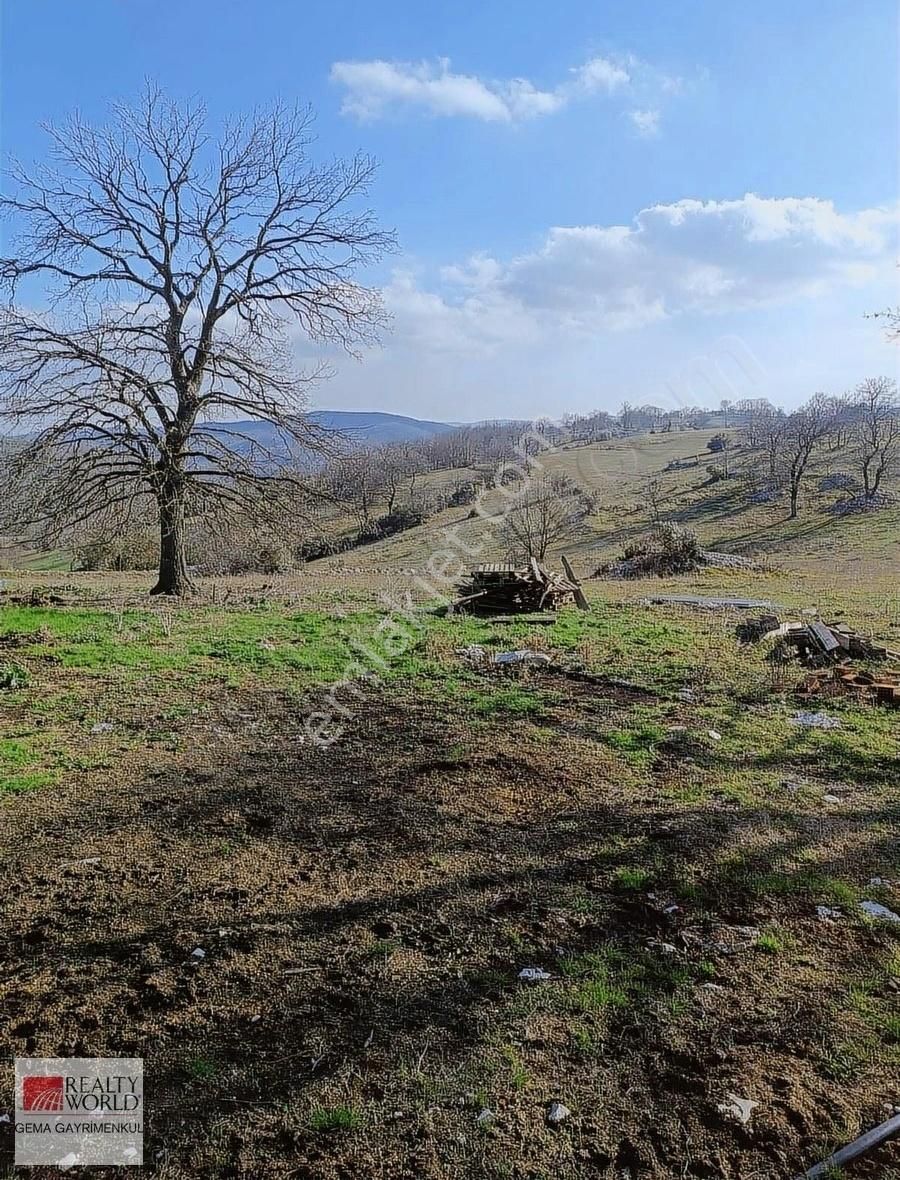 İzmit Şahinler Satılık Tarla Rw Gema'dan Şahinler Mh. Köye Yakın Yatırımlık Arazi