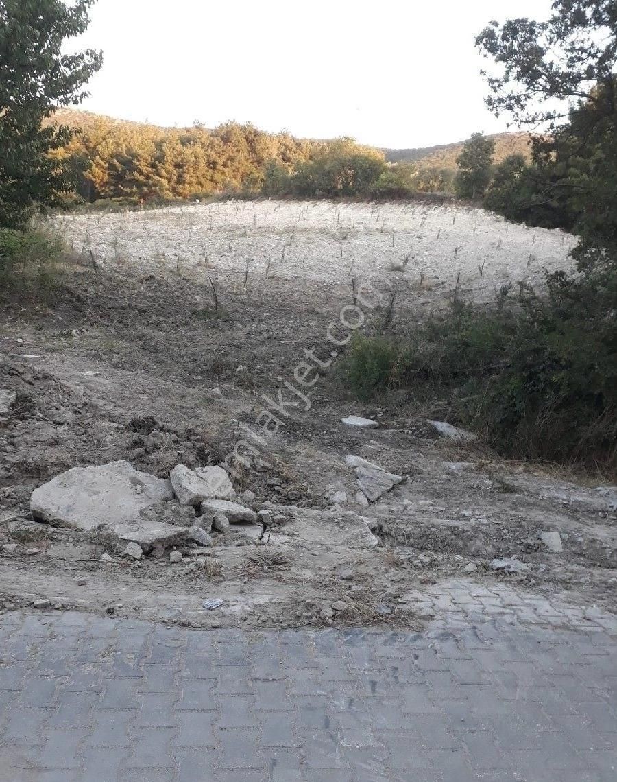 Soma Göktaş Satılık Tarla Yeliz'den Manisa Soma Göktaş'da Yatırımlık Arazi