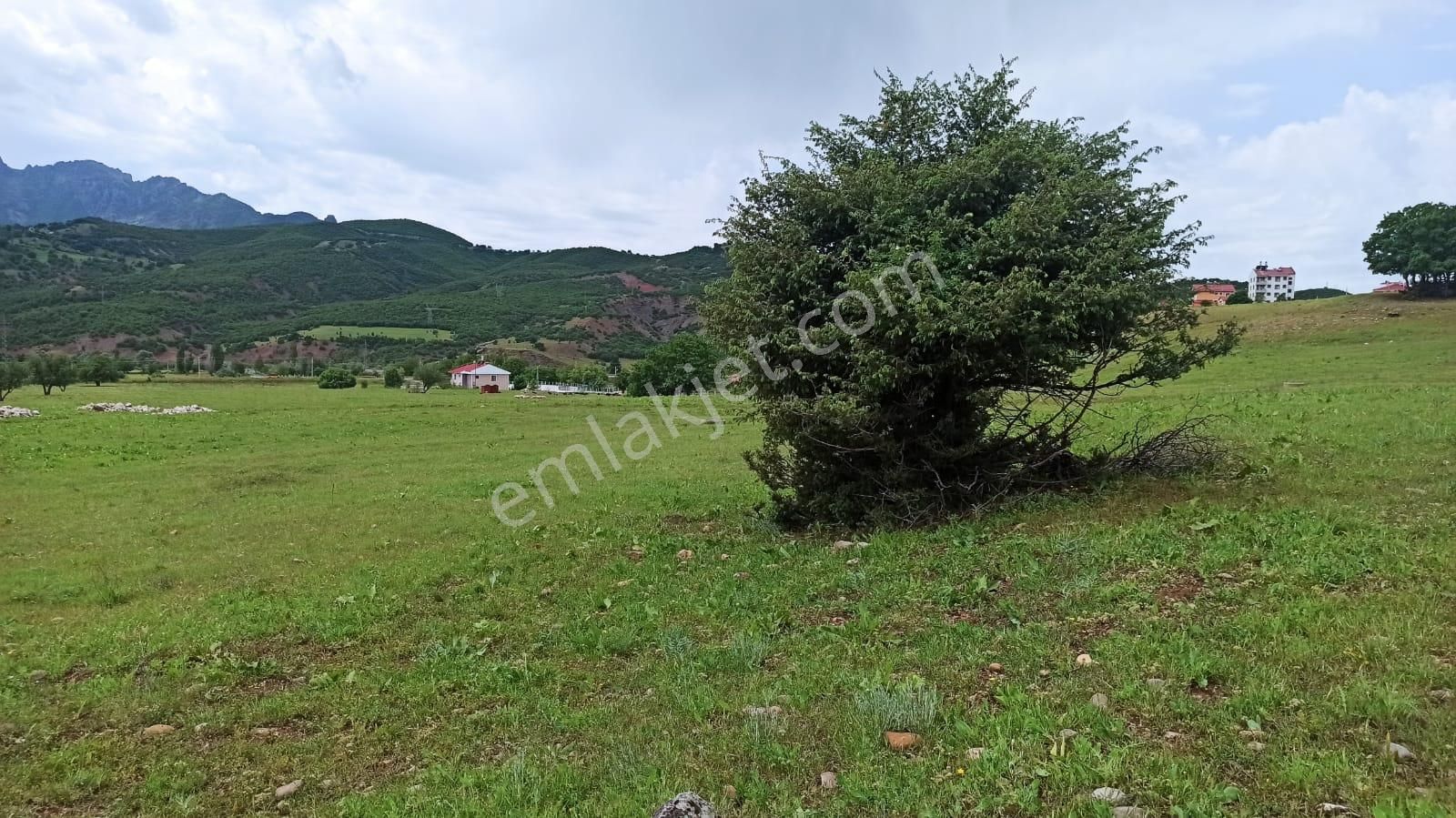 Tunceli Merkez İsmet İnönü Satılık Konut İmarlı Tunceli Merkez İsmet İnönü Mah Alt Yapısı Hazır İmarlı Arsa