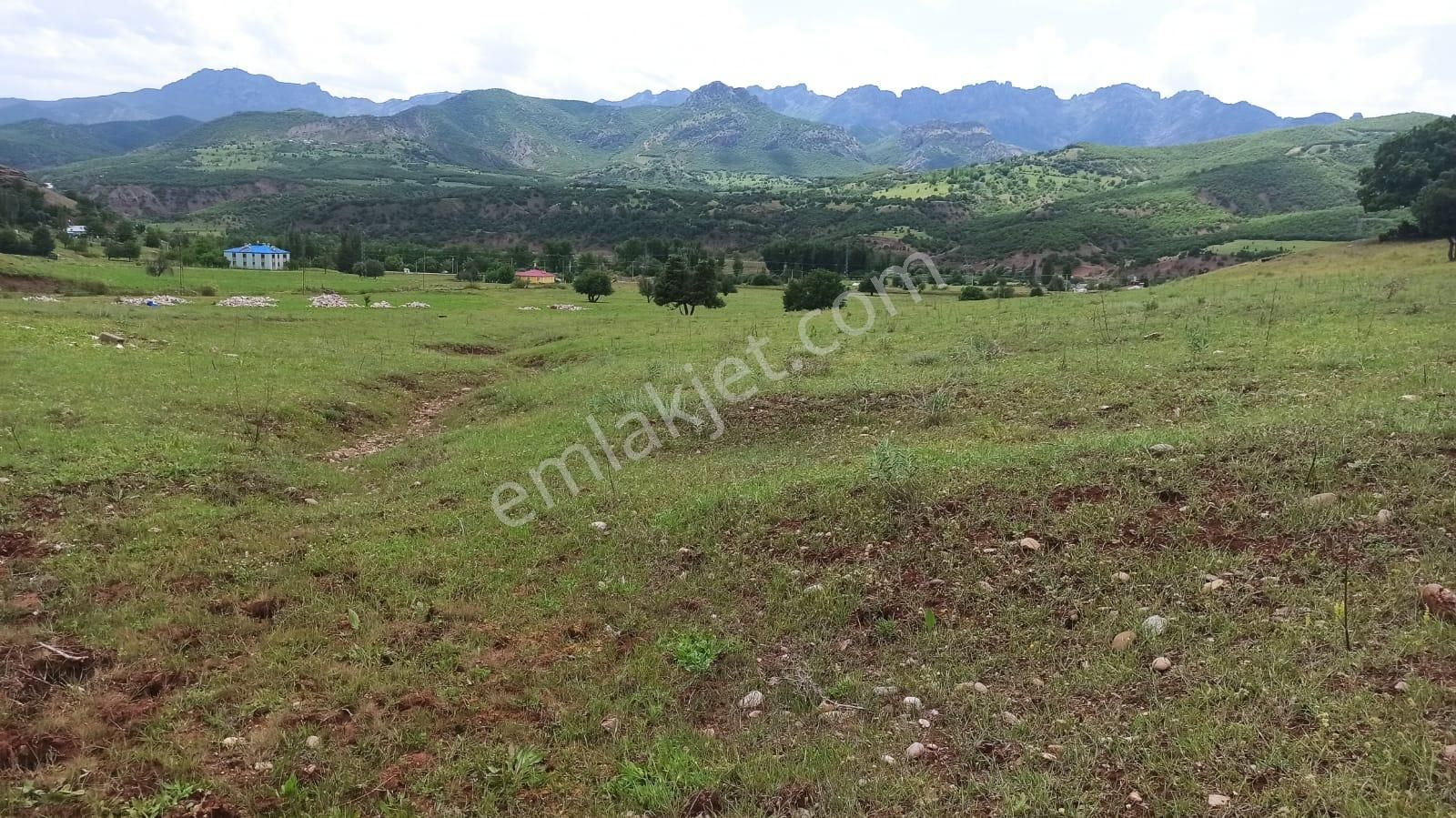 Tunceli Merkez İsmet İnönü Satılık Konut İmarlı Tunceli Merkez İsmet İnönü Mah Alt Yapısı Hazır İmarlı Arsa