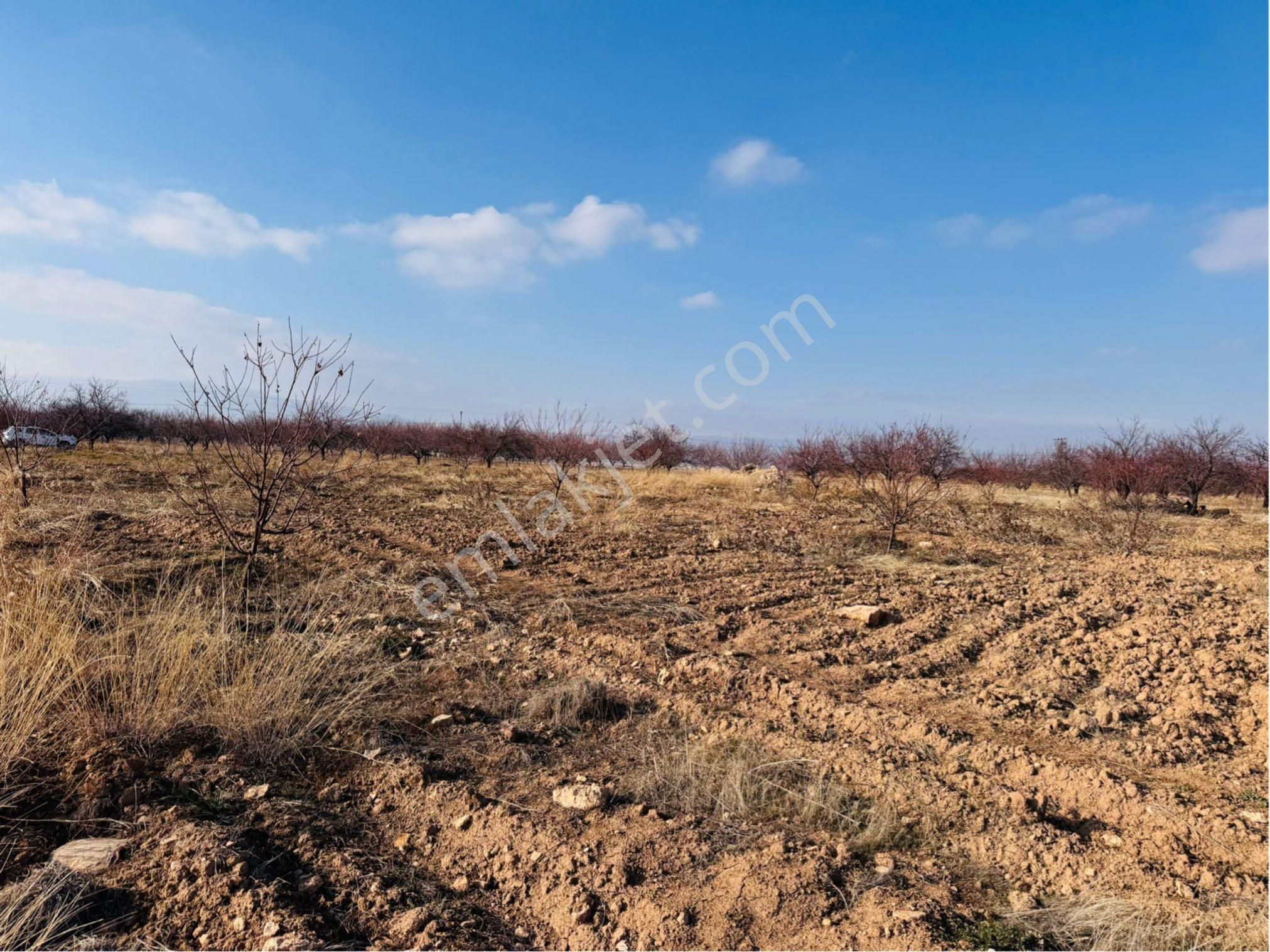 Yeşilyurt Karahan Satılık Bağ & Bahçe Selam Emlaktan Havaalanı Yoluna Çok Yakın 10 Dönüm Uygun Bahçe