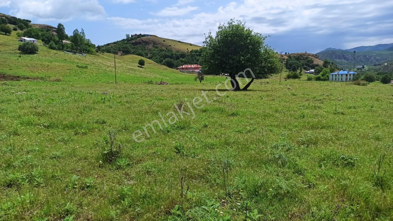 Tunceli Merkez İsmet İnönü Satılık Muhtelif Arsa Tunceli Merkez İsmet İnönü Satılık Arsa