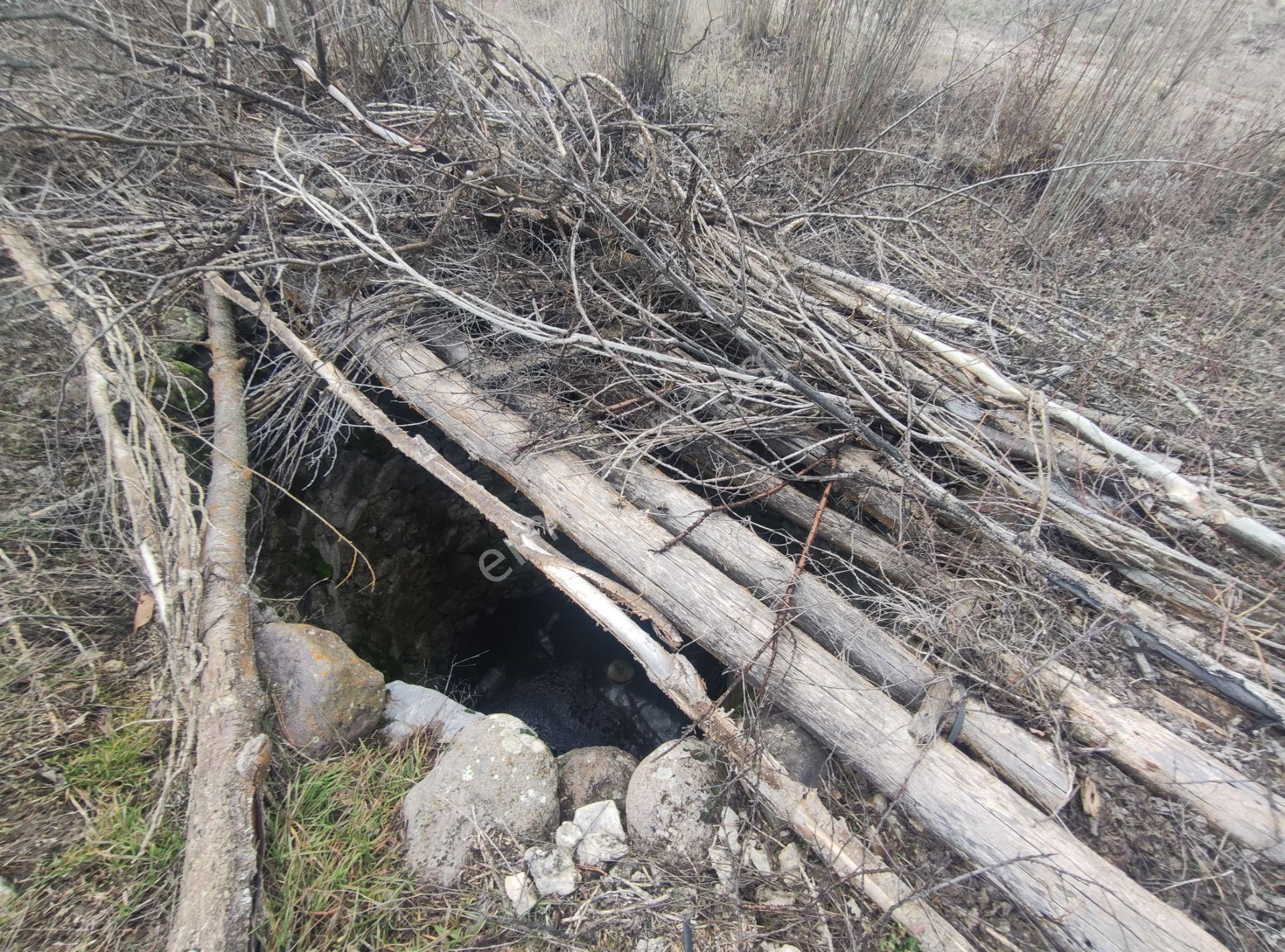 Özpınar,dan Çavuş Köyü Satılık 14 395 M2 Yol Kıyısı 60 M . Ceviz Bahçesi - Görsel 7