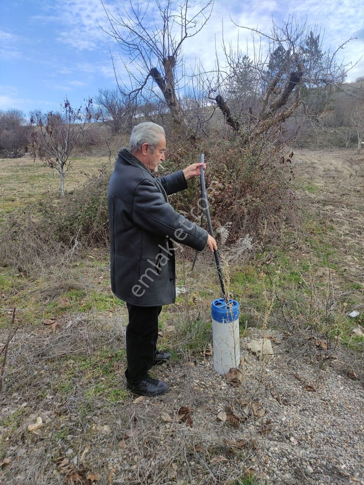 Özpınar,dan Çavuş Köyü Satılık 14 395 M2 Yol Kıyısı 60 M . Ceviz Bahçesi - Görsel 11