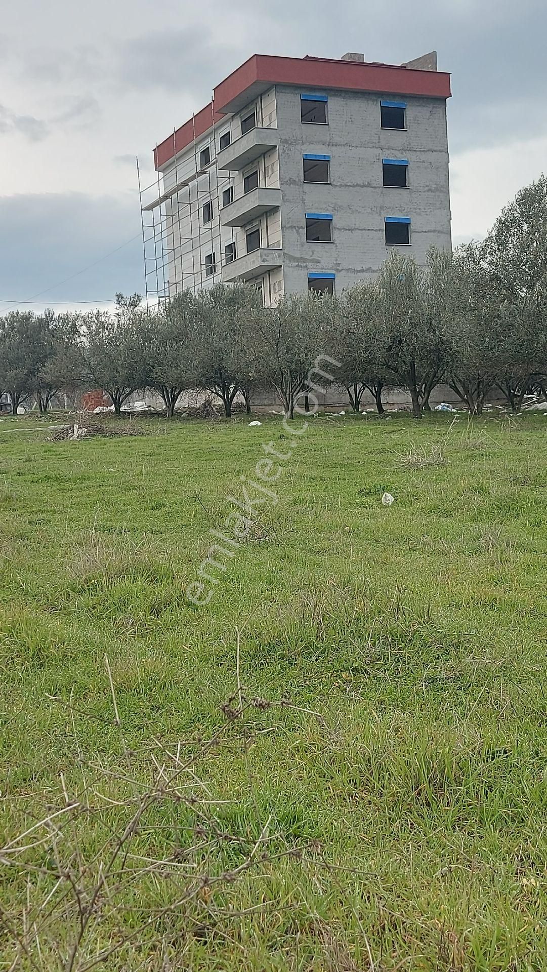 Turgutlu Ergenekon Satılık Konut İmarlı Sinan Emlak'tan Ergenekon Mahallesinde Satılık Konut İmarlı Arsa