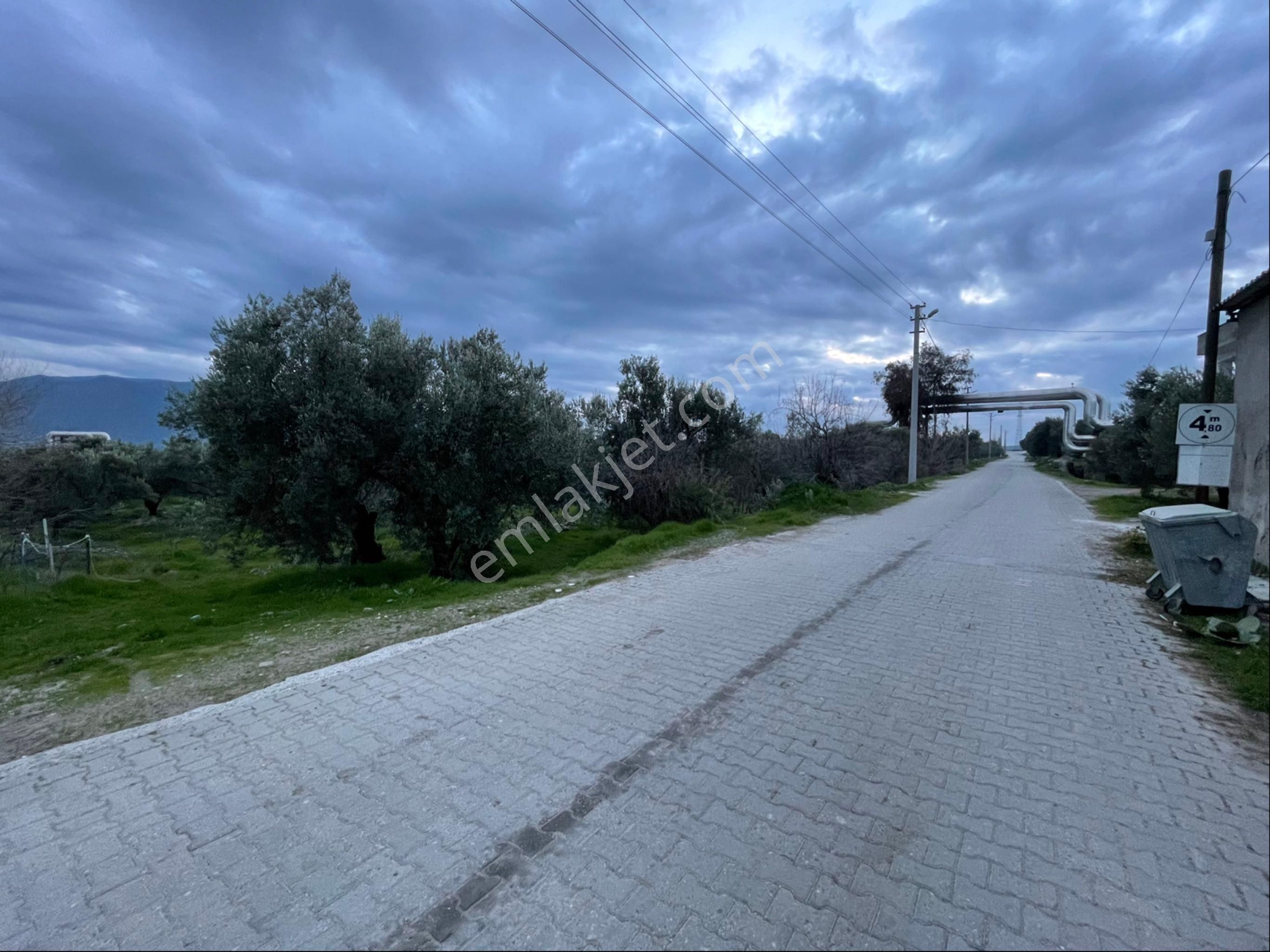 Kuyucak Yöre Satılık Tarla Aydın Kuyucak Yöre’de Merkezde Satılık Zeytinlik