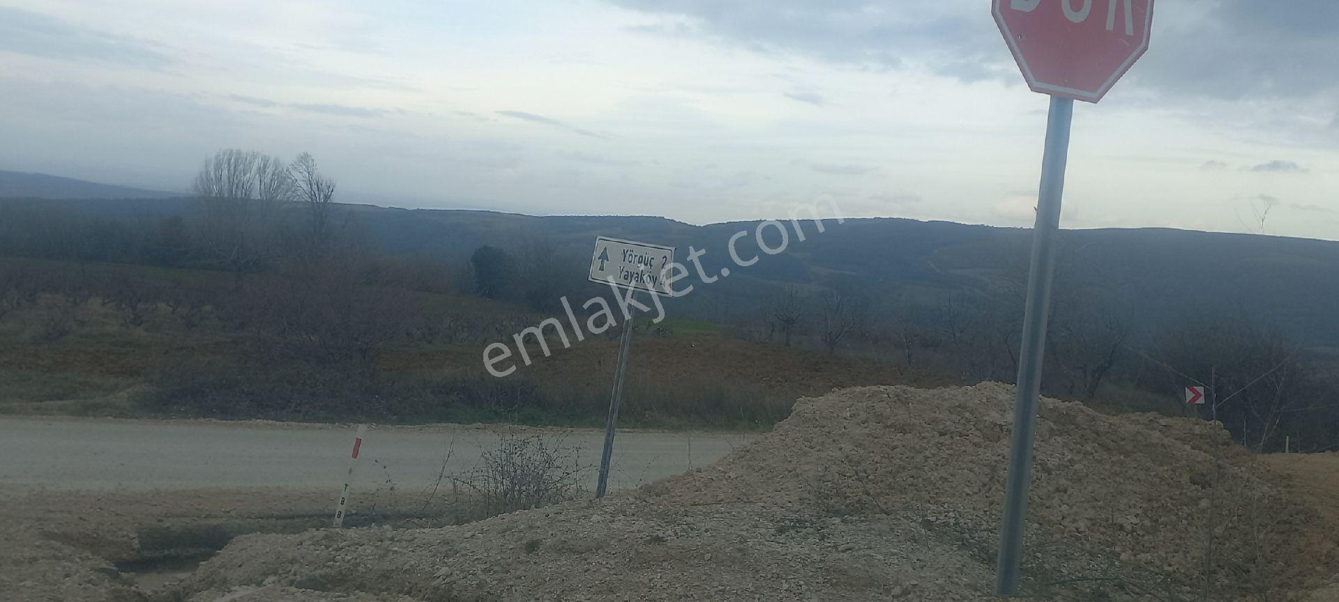 Prestij Emlaktan 3,250 Dönüm Satılık Üzüm Bağı. - Görsel 5