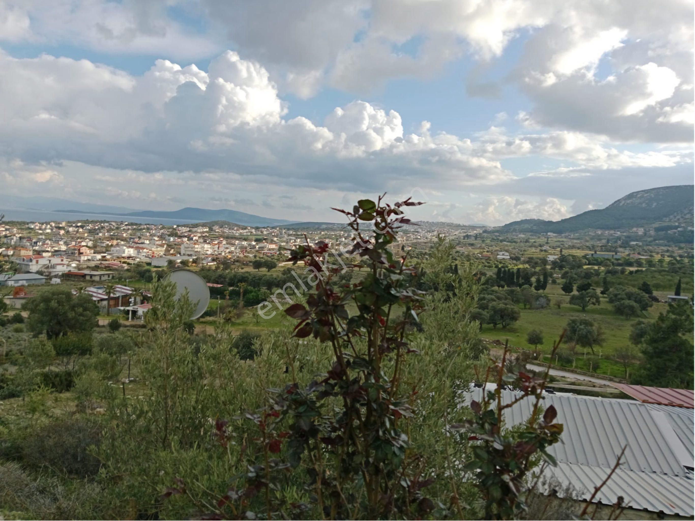 Karaburun Mordoğan Satılık Tarla Mordoğan Denize Yakın Tiny House’lu Merkeze Yakın Tarla