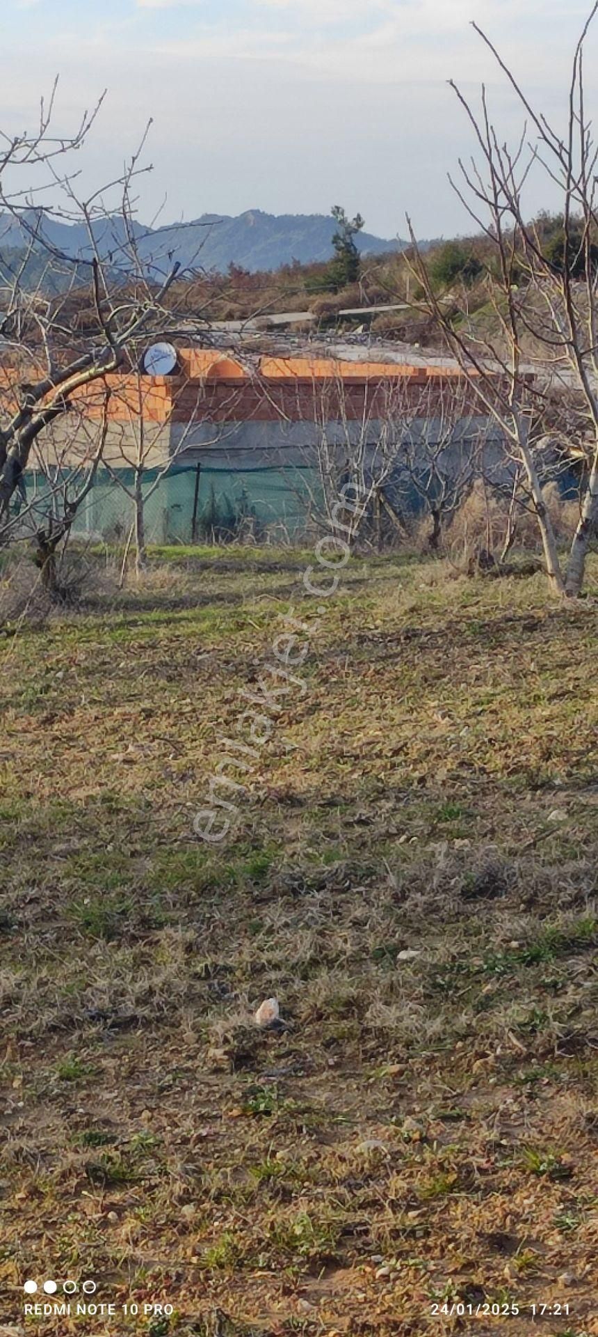 Turgutlu Ayvacık Satılık Tarla Ayvacık Köyü Satılık Kirazlık