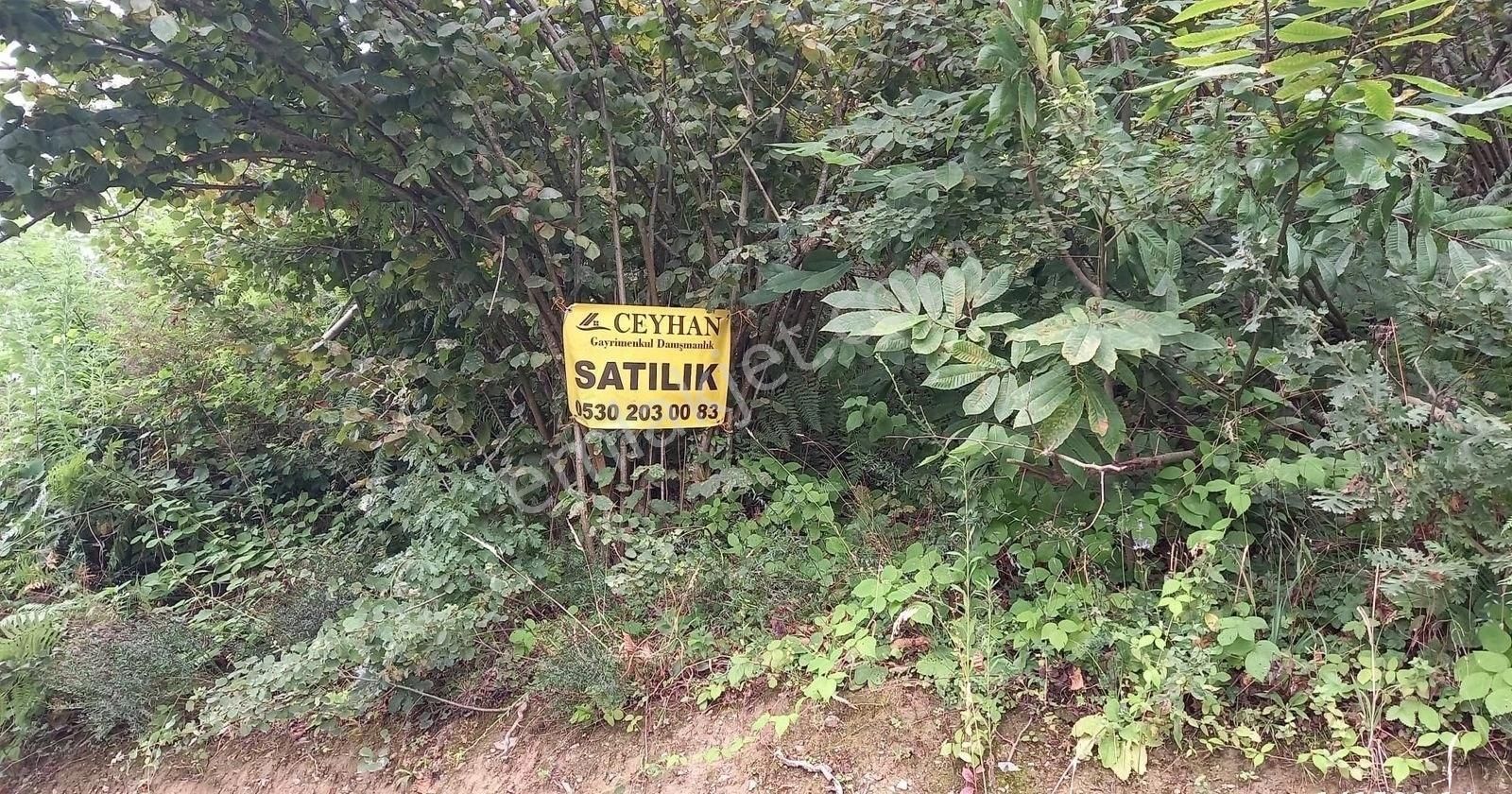 Göl Manzaralı Bahçemiz Satılık... - Görsel 8