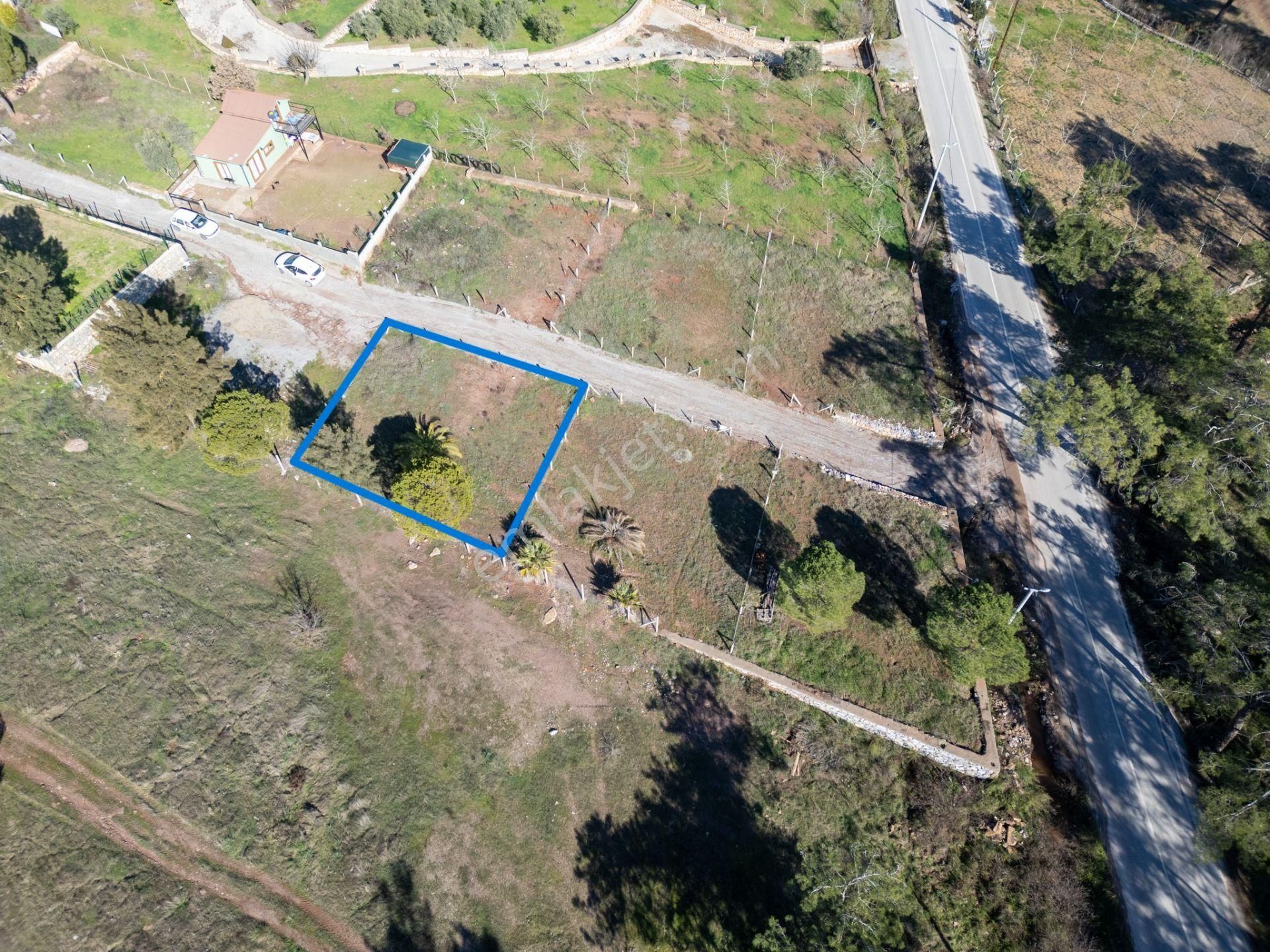 İzmir Menderes Yeniköy Mevkii Doğa İçinde Satılık Tarla - Görsel 4