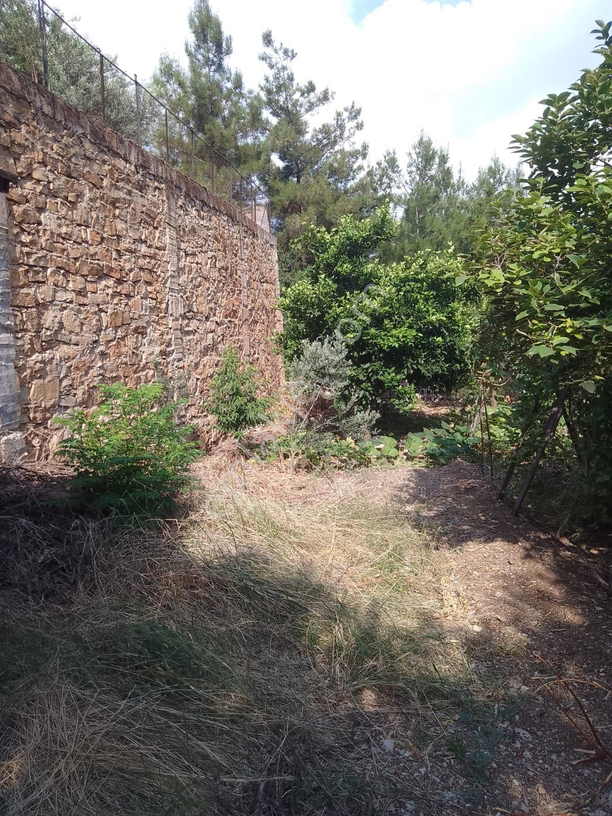 Cırtımanda Bahçeli Ev - Görsel 25