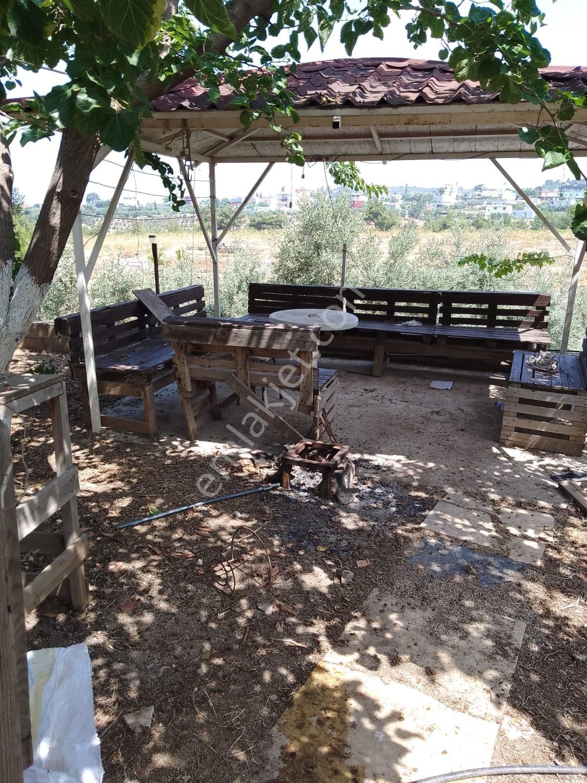 Cırtımanda Bahçeli Ev - Görsel 31