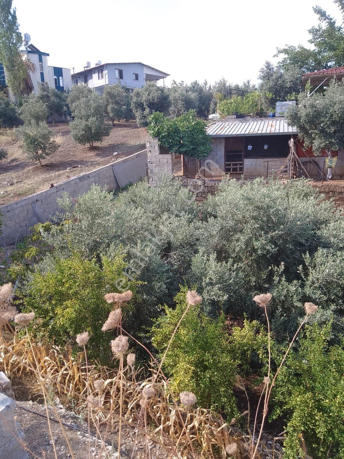 Cırtımanda Bahçeli Ev - Görsel 3