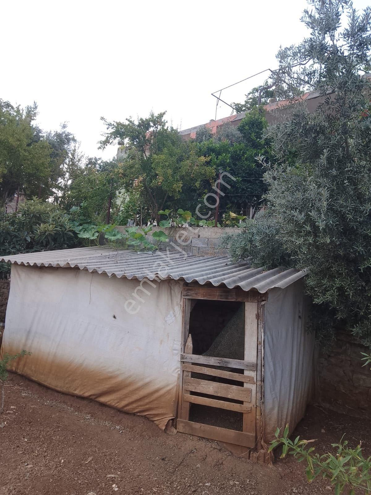 Cırtımanda Bahçeli Ev - Görsel 32