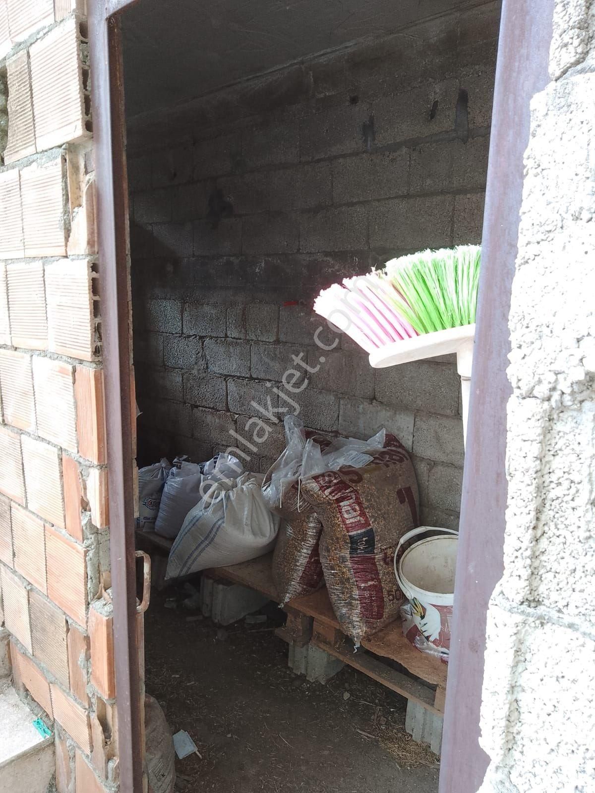 Cırtımanda Bahçeli Ev - Görsel 10