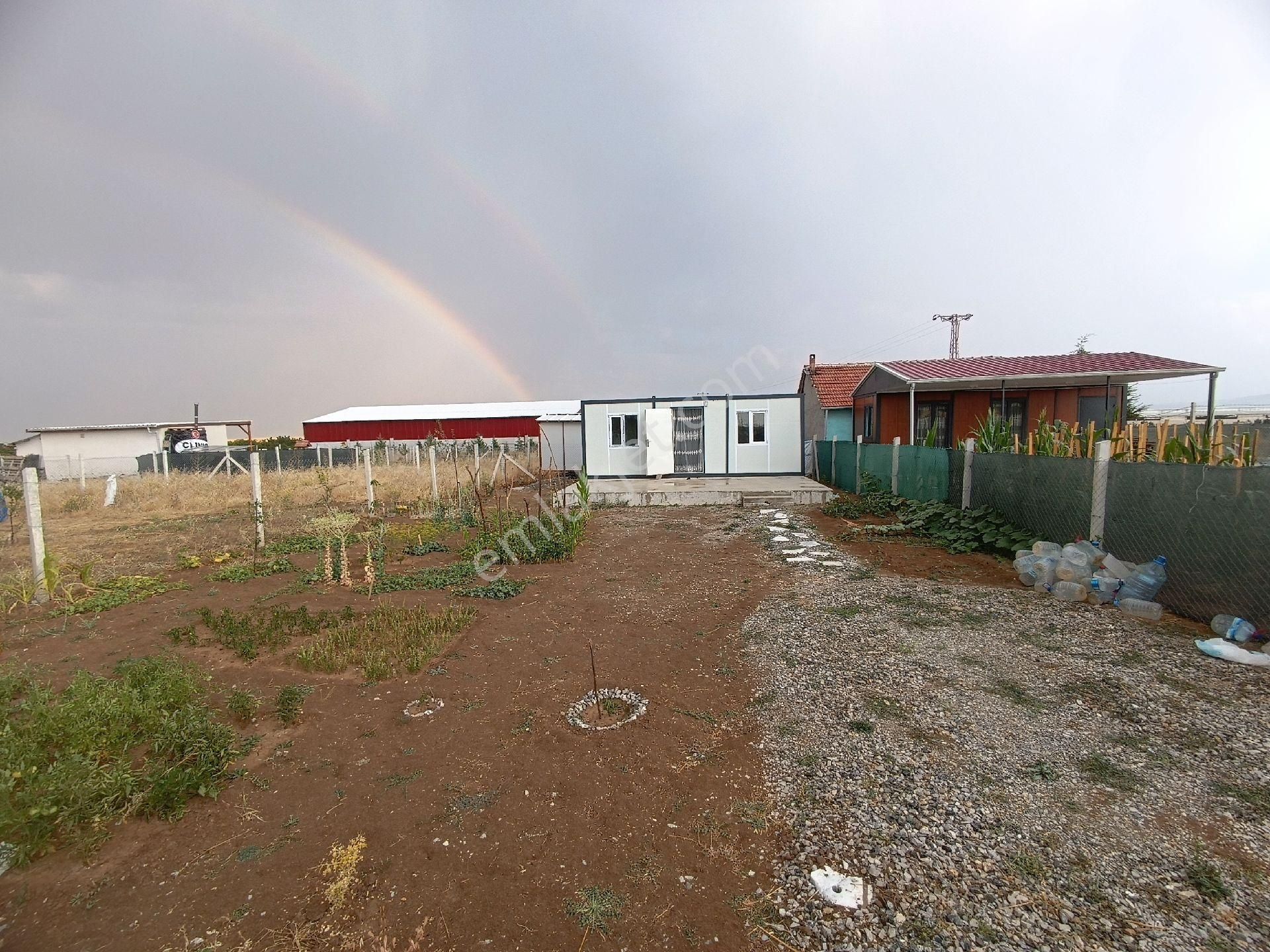 Elmadağ Lalabel Satılık Bağ & Bahçe Satılık Hobi Bahçesi