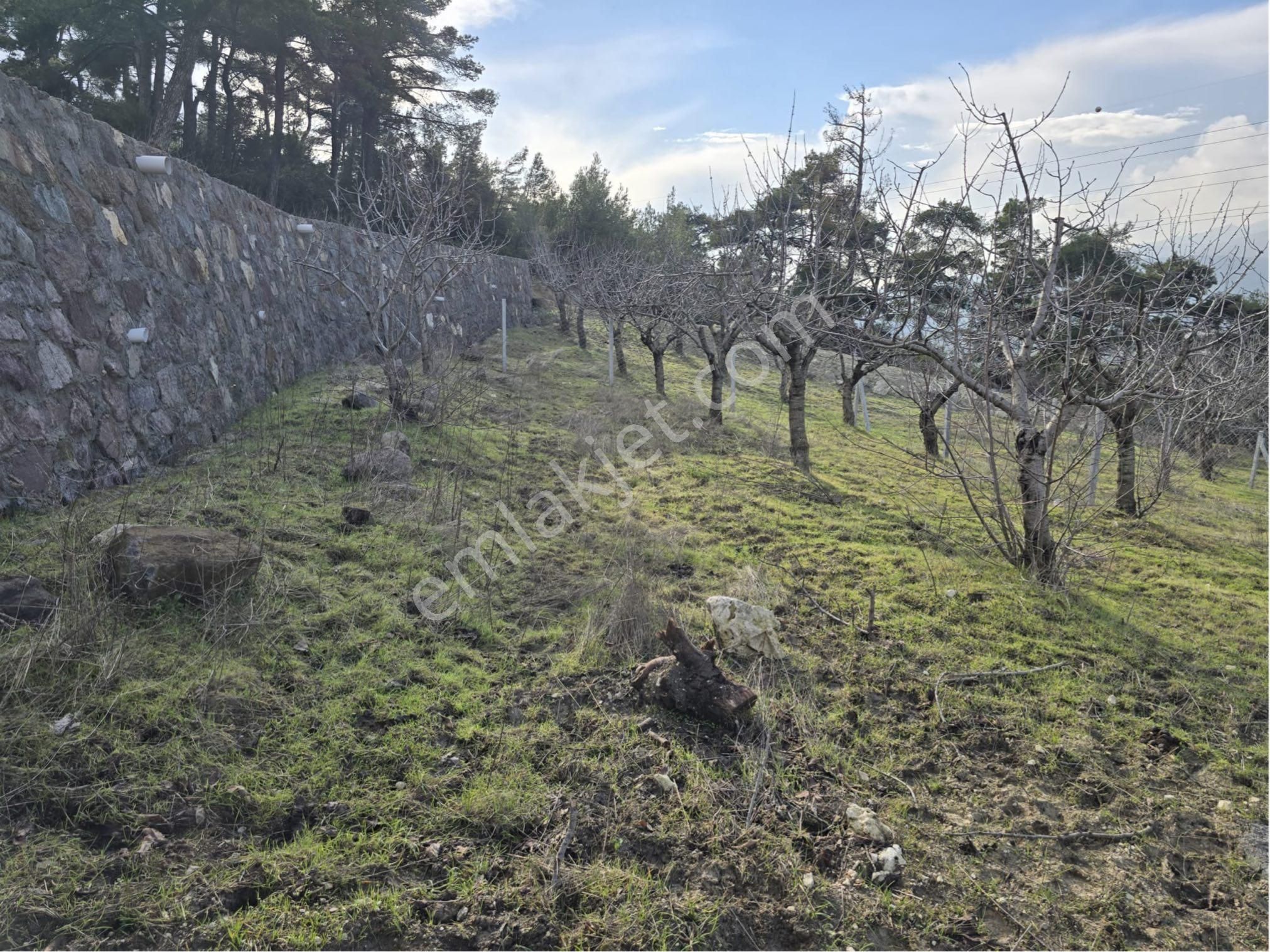 İzmir Bornova Satılık Özel Kullanım Beşyol Köyünde Fırsat Son 3 Parsel