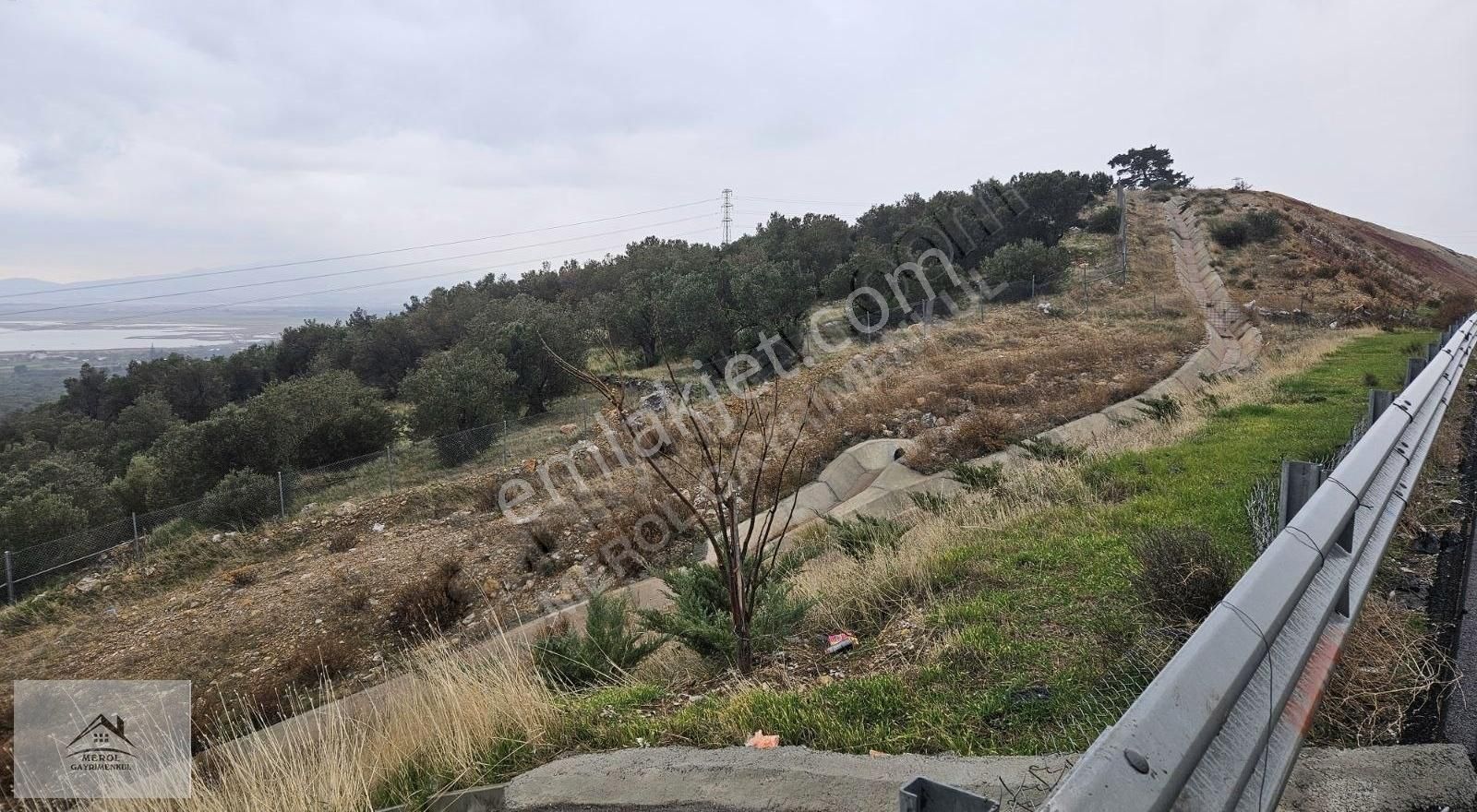 Bergama Zeytindağ'da Deniz Manzaralı Zeytinlik - Görsel 20