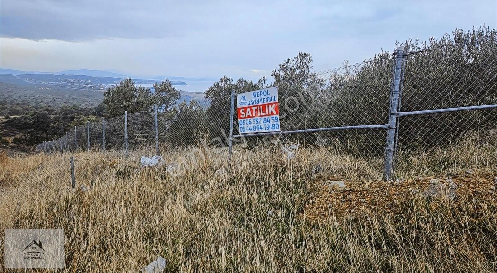 Bergama Zeytindağ'da Deniz Manzaralı Zeytinlik - Görsel 11
