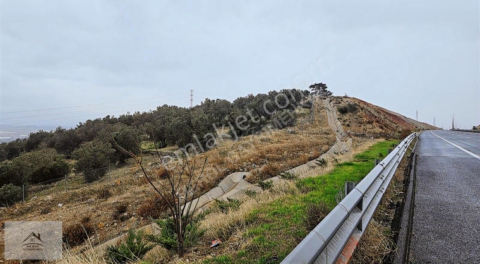 Bergama Zeytindağ'da Deniz Manzaralı Zeytinlik - Görsel 22