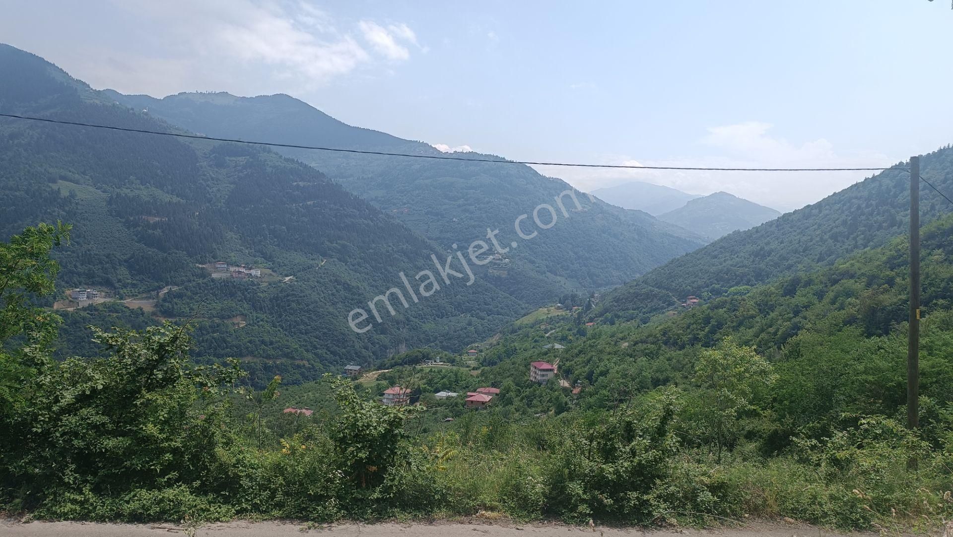 Maçka Mataracı Satılık Bağ & Bahçe Maçka Mataracı'da Bungalov Yapımına Uygun Satılık Arsa